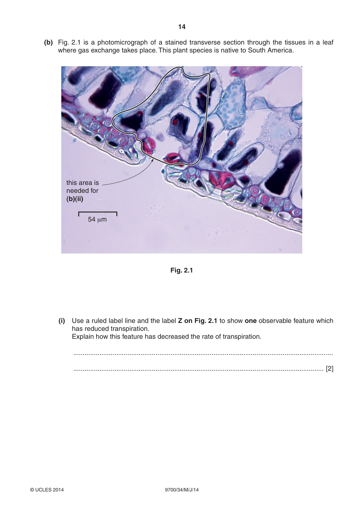 Cambridge A Level Biology 9700 2014 May/June Paper 3 · Variant 4 question paper, page 14 of 16