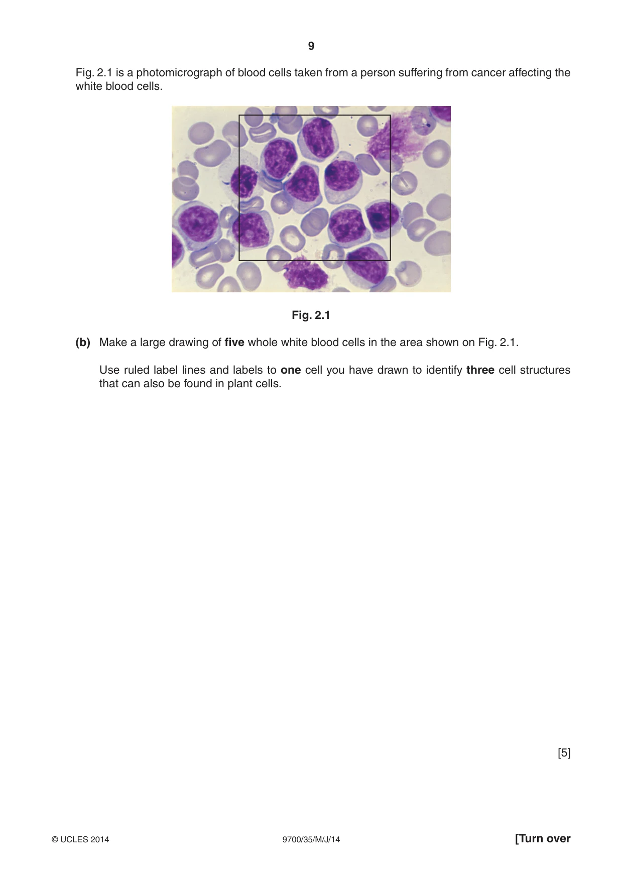 Cambridge A Level Biology 9700 2014 May/June Paper 3 · Variant 5 question paper, page 9 of 12