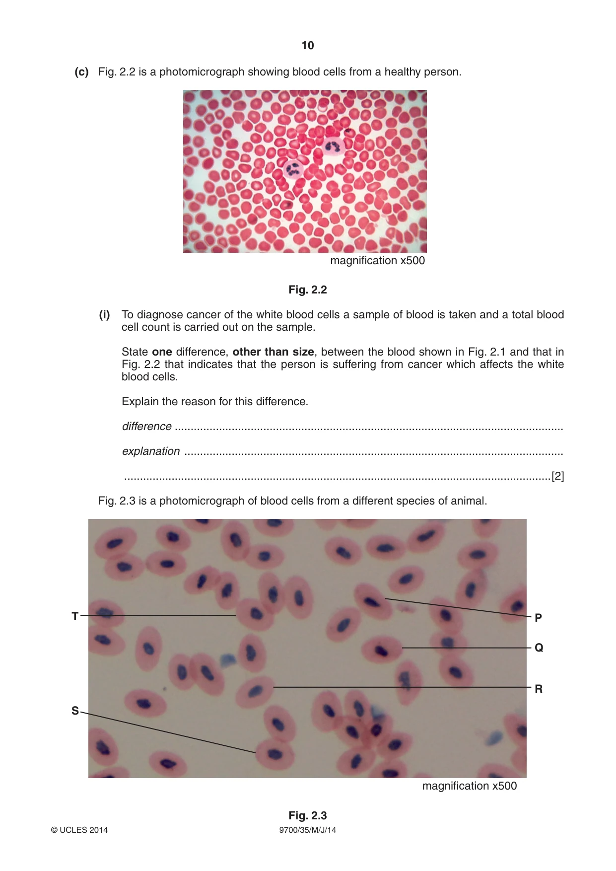 Cambridge A Level Biology 9700 2014 May/June Paper 3 · Variant 5 question paper, page 10 of 12