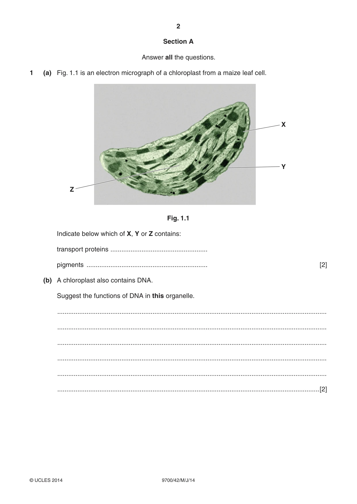 Cambridge A Level Biology 9700 2014 May/June Paper 4 · Variant 2 question paper, page 2 of 24