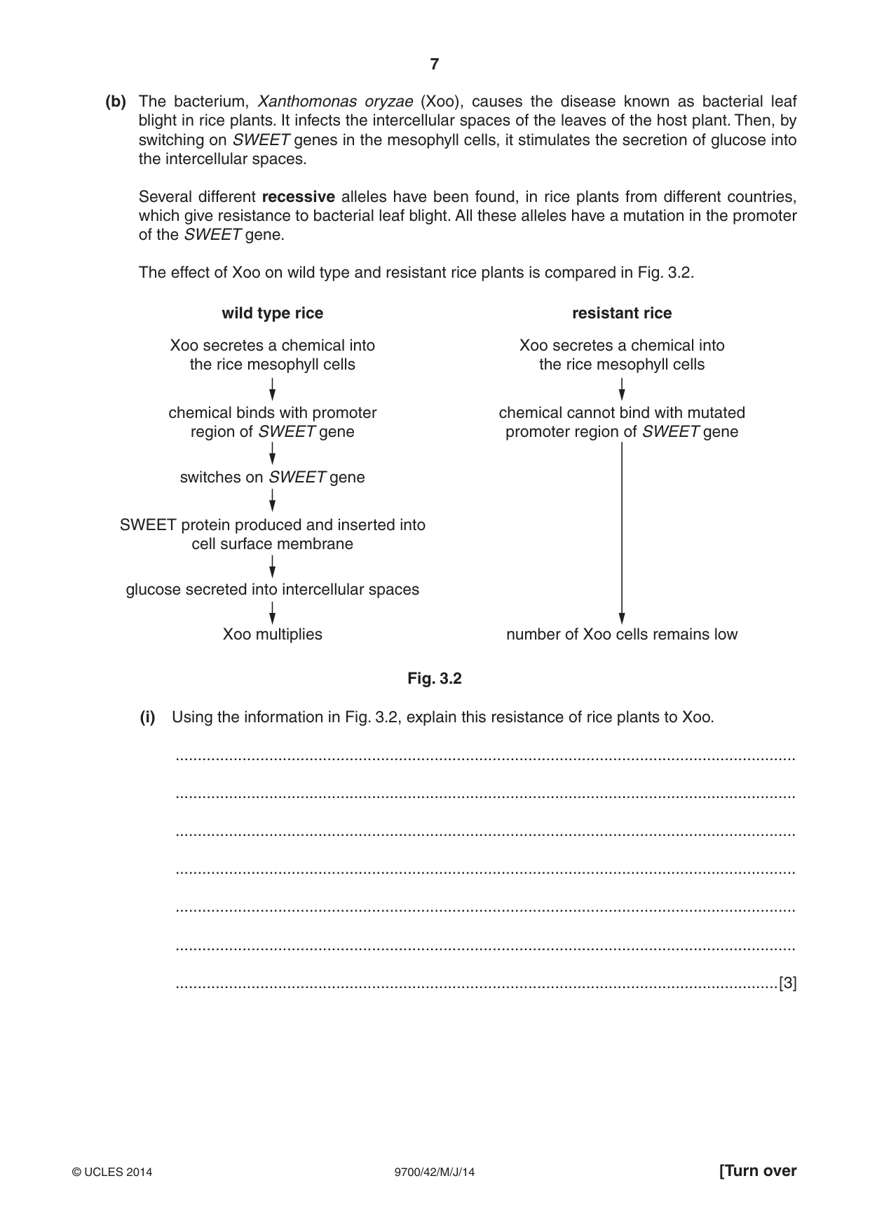 Cambridge A Level Biology 9700 2014 May/June Paper 4 · Variant 2 question paper, page 7 of 24