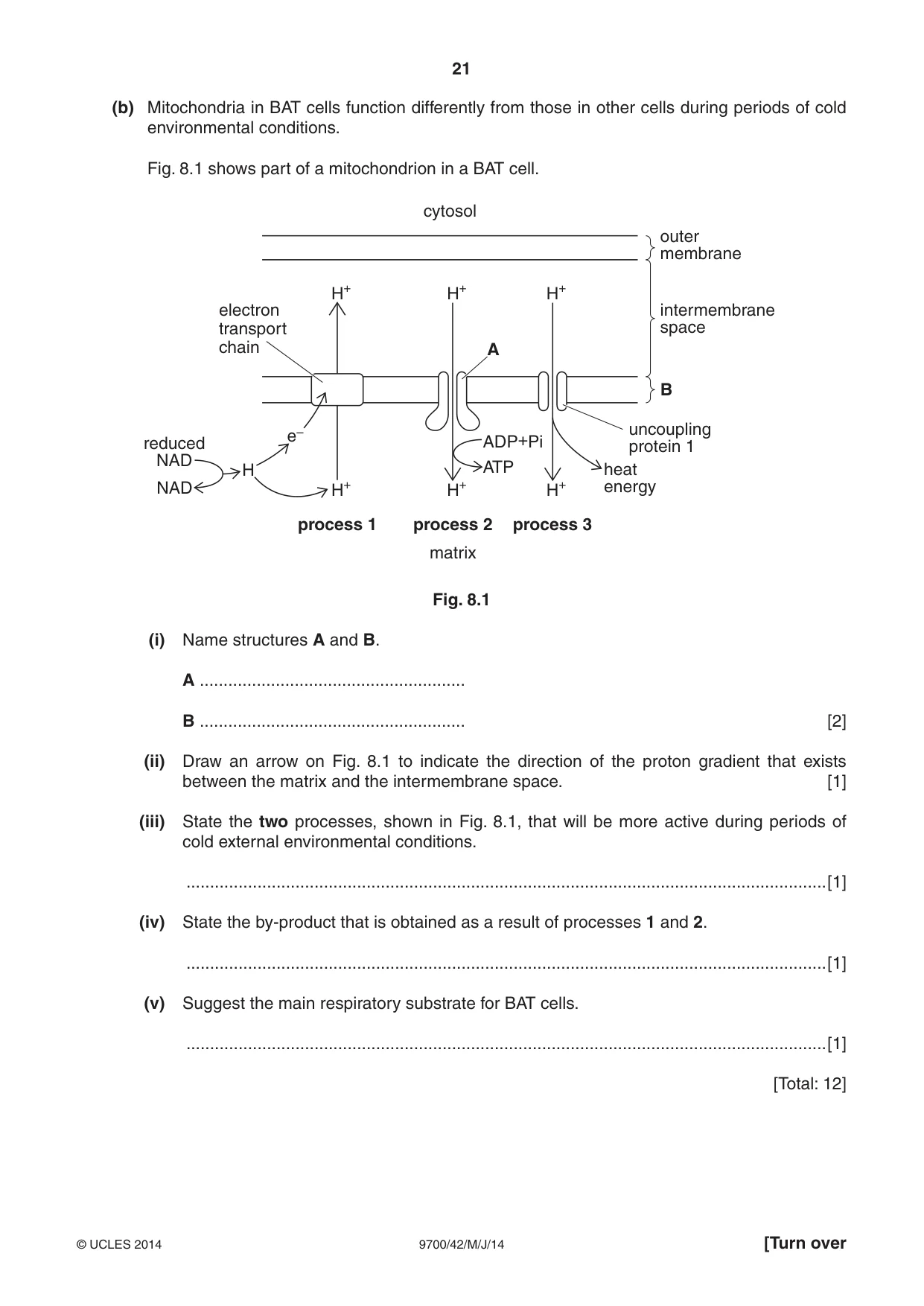Cambridge A Level Biology 9700 2014 May/June Paper 4 · Variant 2 question paper, page 21 of 24