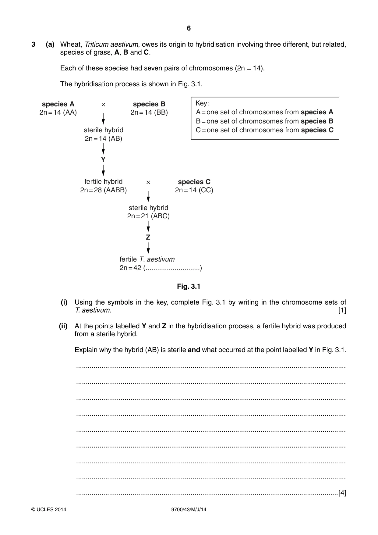 Cambridge A Level Biology 9700 2014 May/June Paper 4 · Variant 3 question paper, page 6 of 24