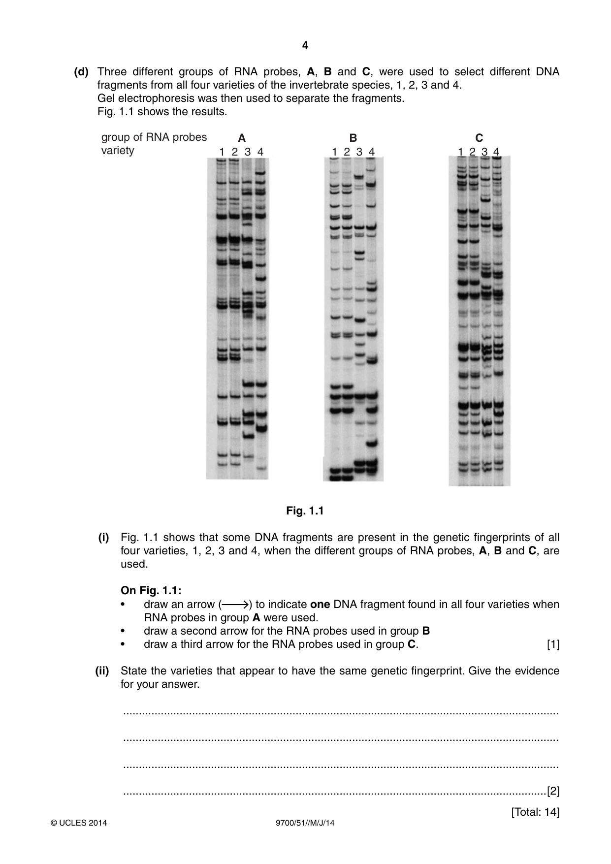 Cambridge A Level Biology 9700 2014 May/June Paper 5 · Variant 1 question paper, page 4 of 8