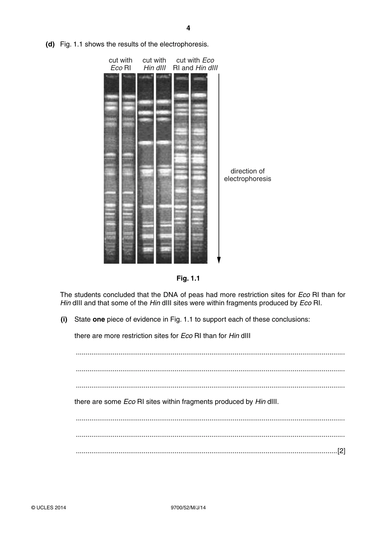 Cambridge A Level Biology 9700 2014 May/June Paper 5 · Variant 2 question paper, page 4 of 12