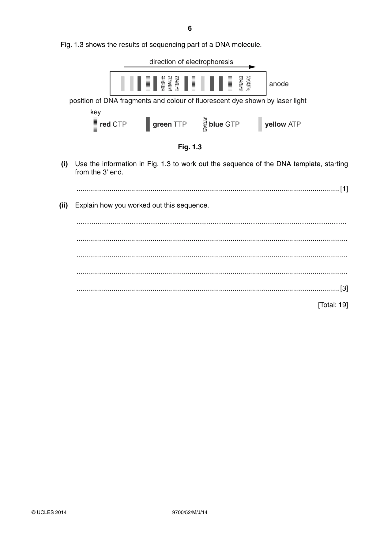 Cambridge A Level Biology 9700 2014 May/June Paper 5 · Variant 2 question paper, page 6 of 12