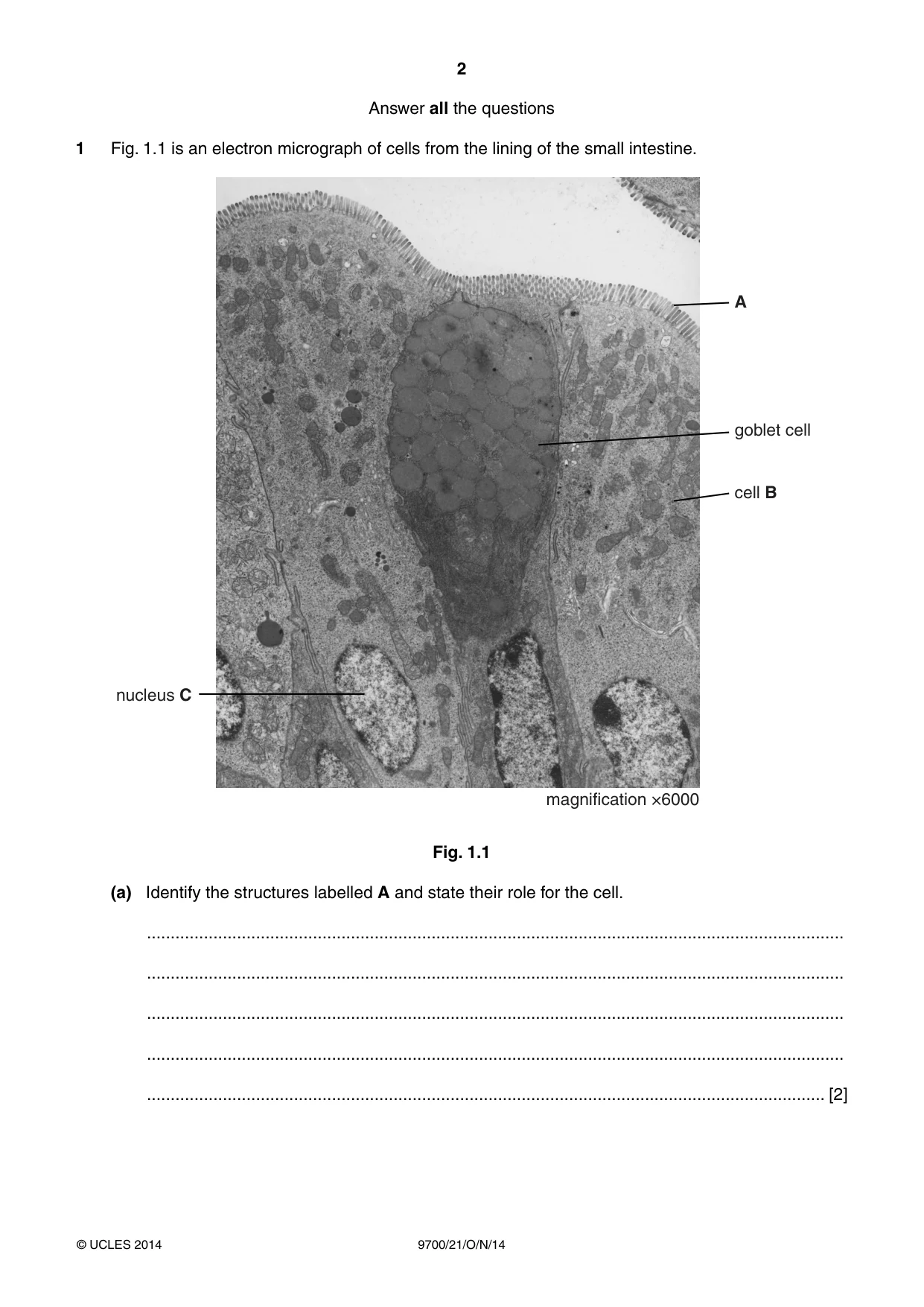 Cambridge A Level Biology 9700 2014 Oct/Nov Paper 2 · Variant 1 question paper, page 2 of 16