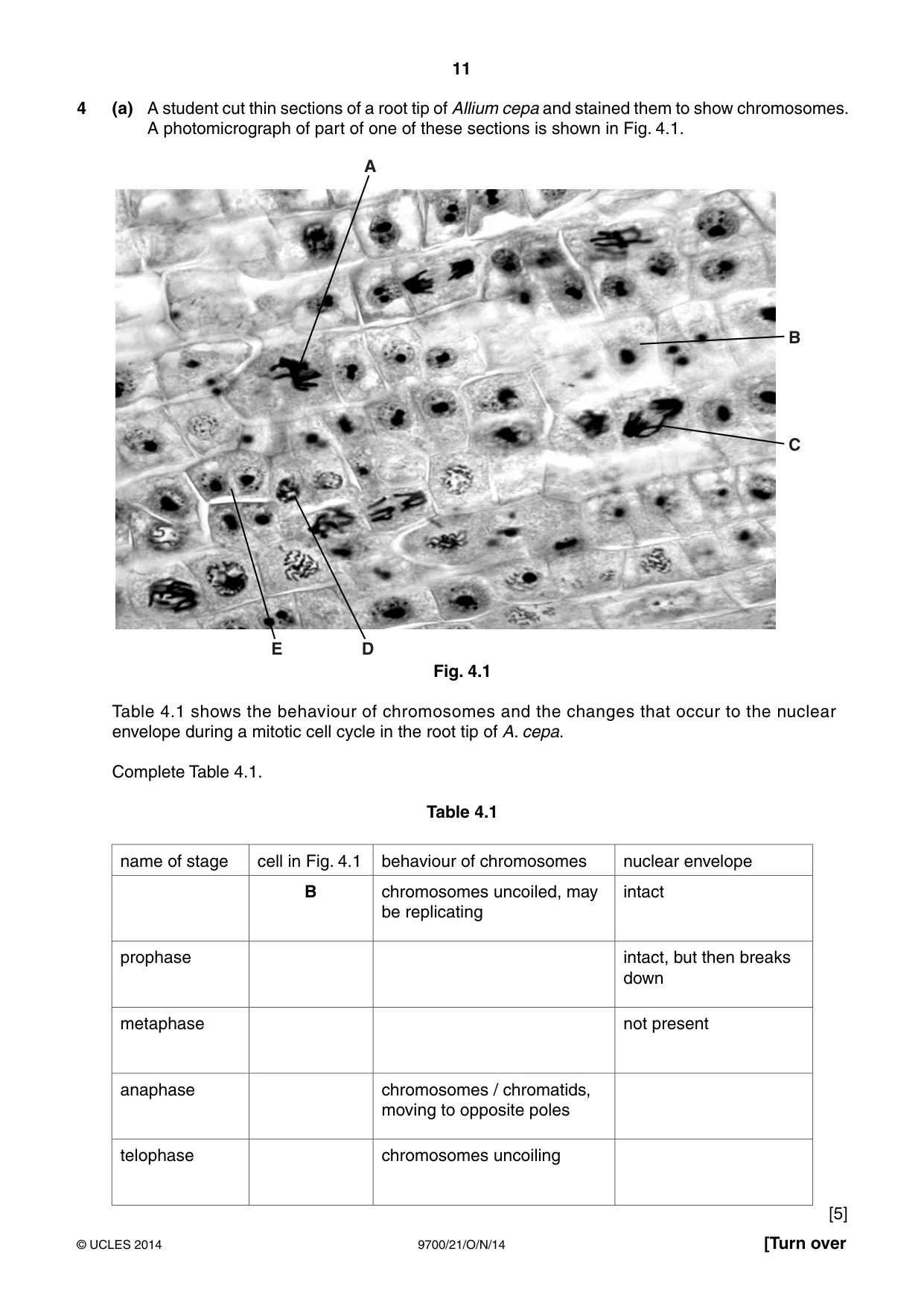 Cambridge A Level Biology 9700 2014 Oct/Nov Paper 2 · Variant 1 question paper, page 11 of 16