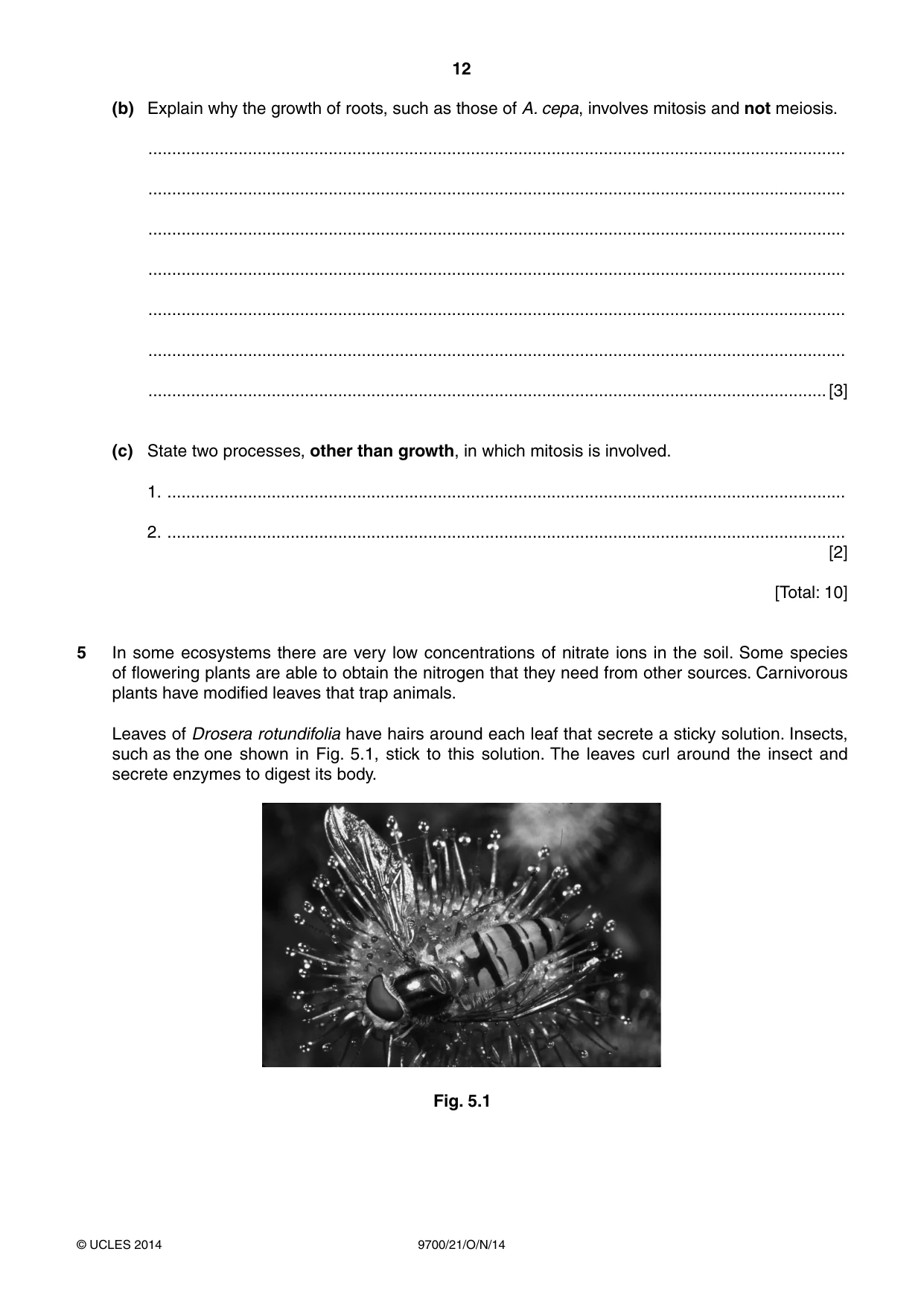 Cambridge A Level Biology 9700 2014 Oct/Nov Paper 2 · Variant 1 question paper, page 12 of 16