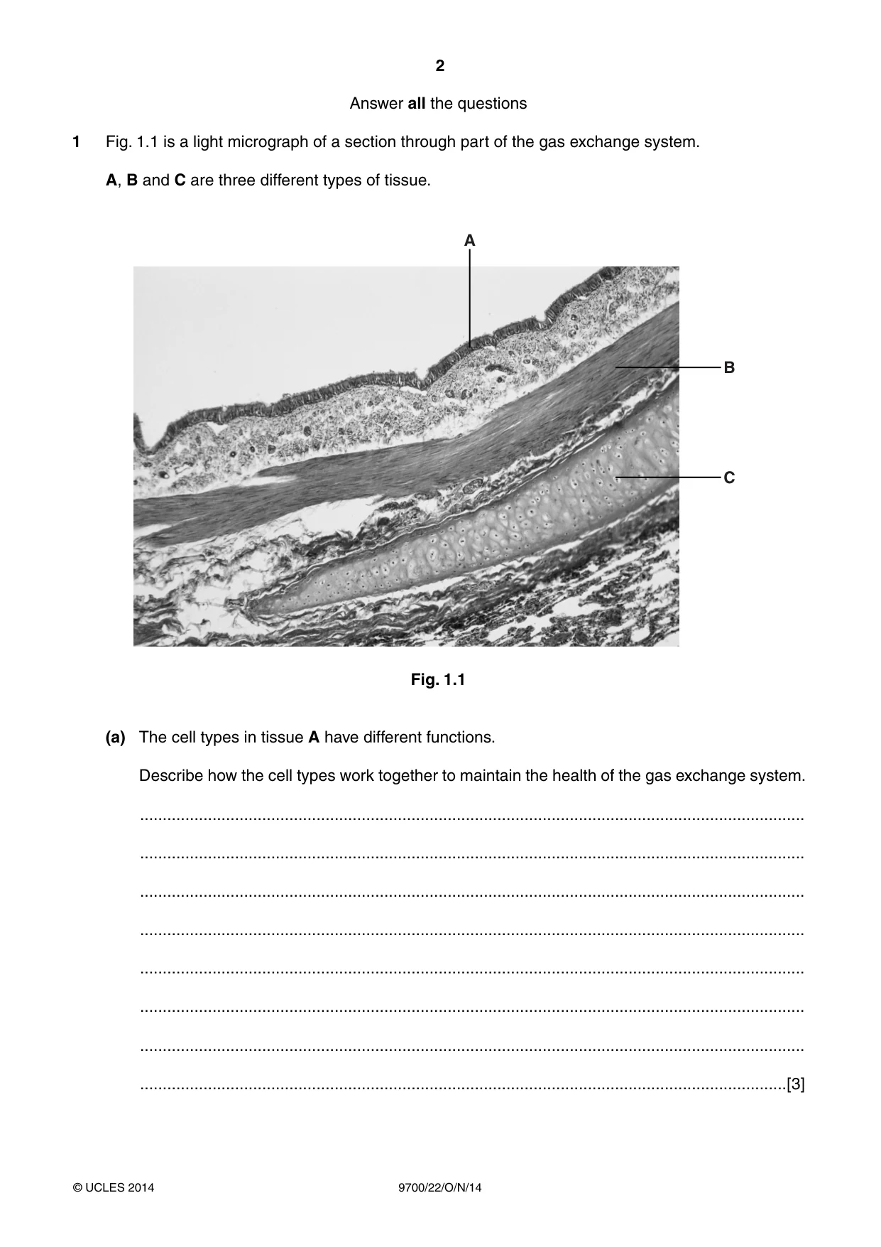 Cambridge A Level Biology 9700 2014 Oct/Nov Paper 2 · Variant 2 question paper, page 2 of 16