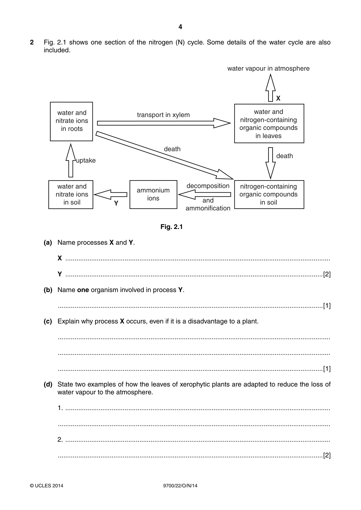 Cambridge A Level Biology 9700 2014 Oct/Nov Paper 2 · Variant 2 question paper, page 4 of 16