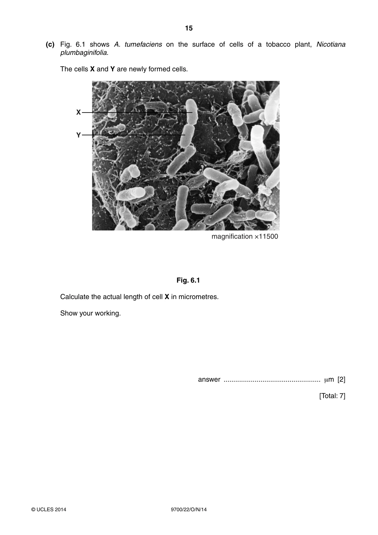 Cambridge A Level Biology 9700 2014 Oct/Nov Paper 2 · Variant 2 question paper, page 15 of 16