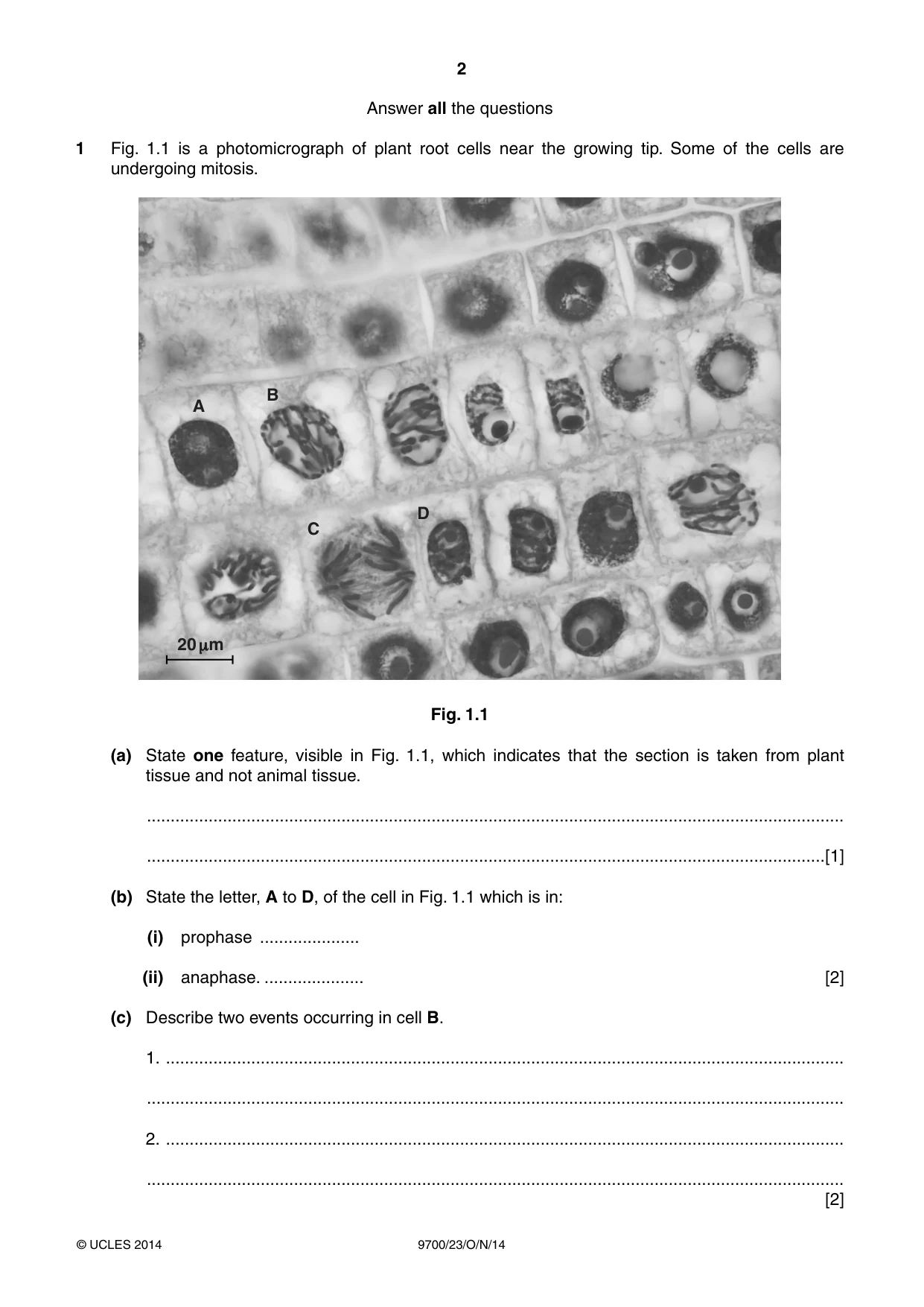 Cambridge A Level Biology 9700 2014 Oct/Nov Paper 2 · Variant 3 question paper, page 2 of 16