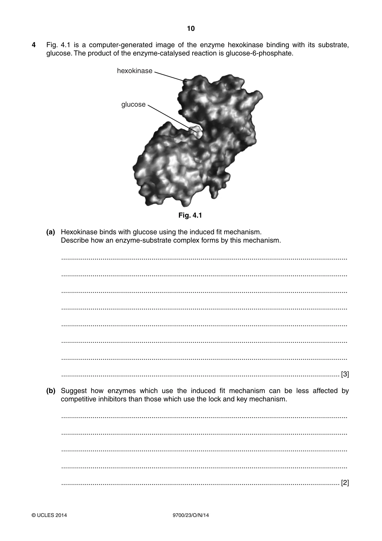 Cambridge A Level Biology 9700 2014 Oct/Nov Paper 2 · Variant 3 question paper, page 10 of 16