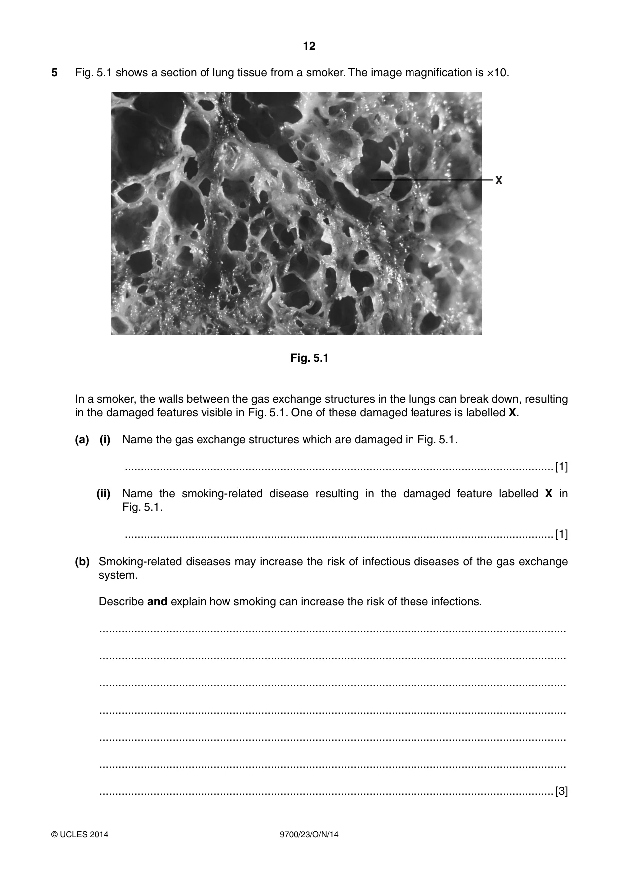 Cambridge A Level Biology 9700 2014 Oct/Nov Paper 2 · Variant 3 question paper, page 12 of 16