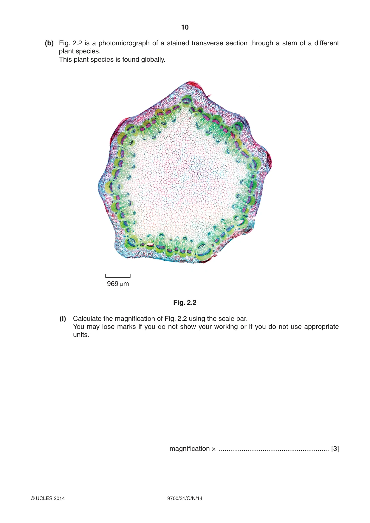 Cambridge A Level Biology 9700 2014 Oct/Nov Paper 3 · Variant 1 question paper, page 10 of 16