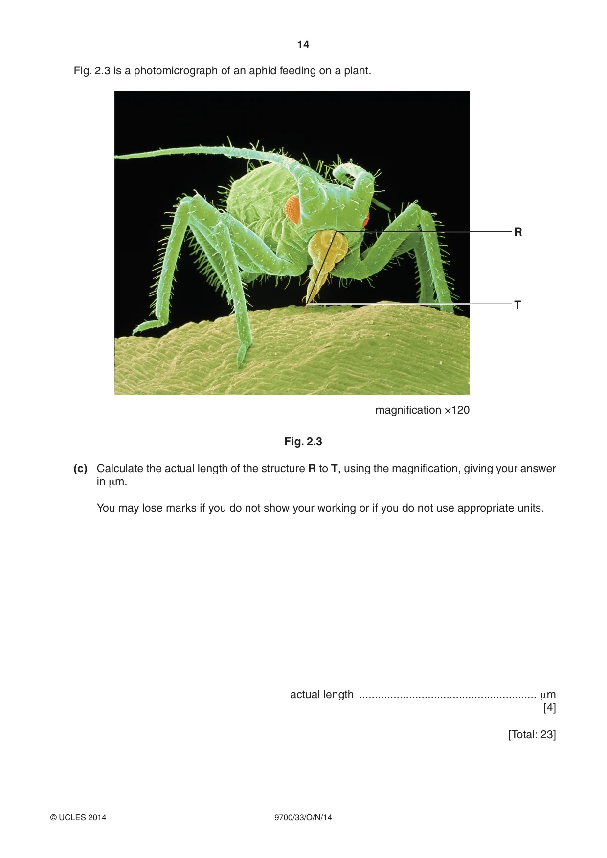 Cambridge A Level Biology 9700 2014 Oct/Nov Paper 3 · Variant 3 question paper, page 14 of 16