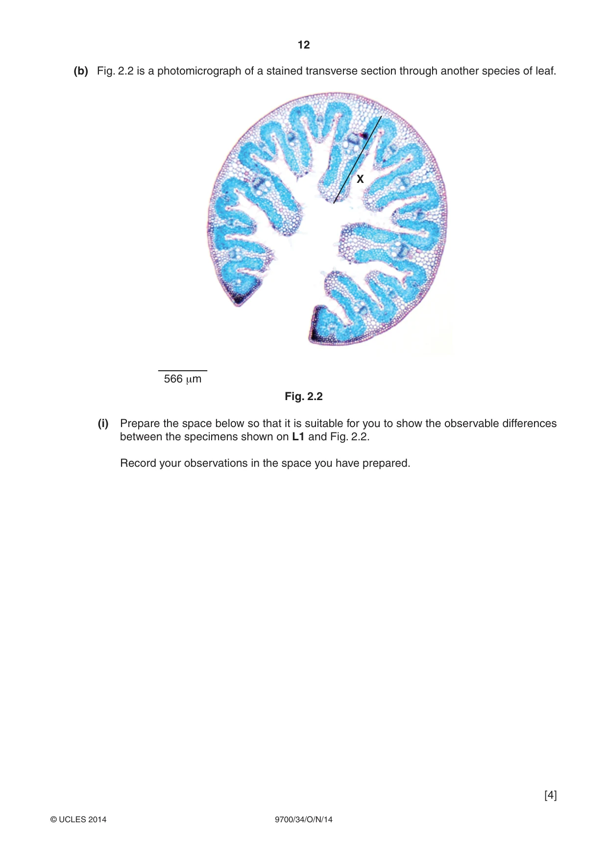 Cambridge A Level Biology 9700 2014 Oct/Nov Paper 3 · Variant 4 question paper, page 12 of 16