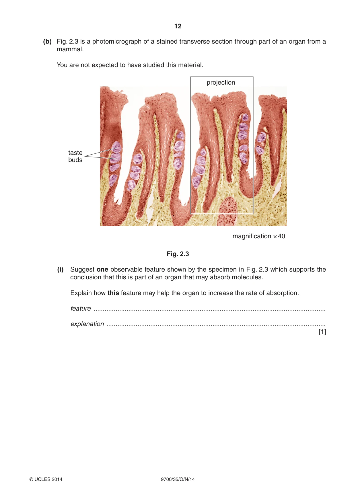 Cambridge A Level Biology 9700 2014 Oct/Nov Paper 3 · Variant 5 question paper, page 12 of 16