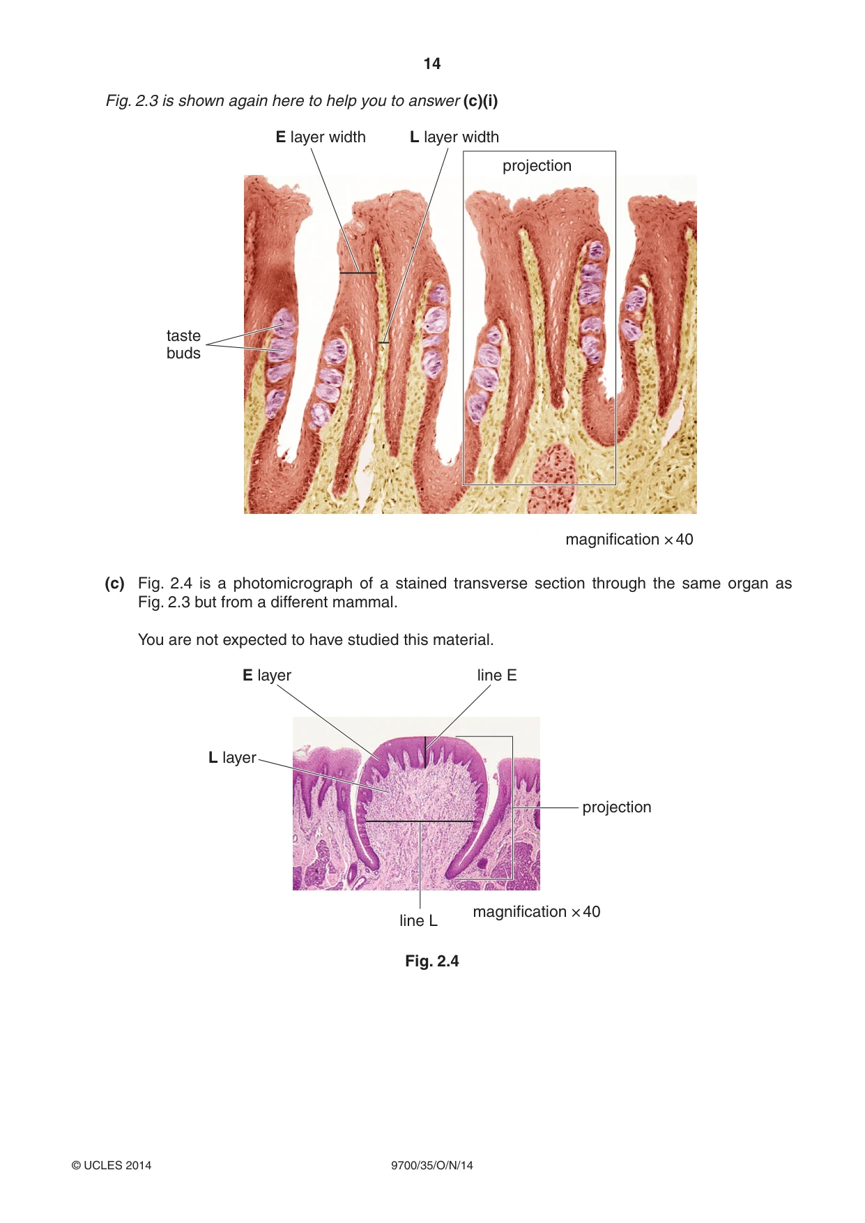 Cambridge A Level Biology 9700 2014 Oct/Nov Paper 3 · Variant 5 question paper, page 14 of 16