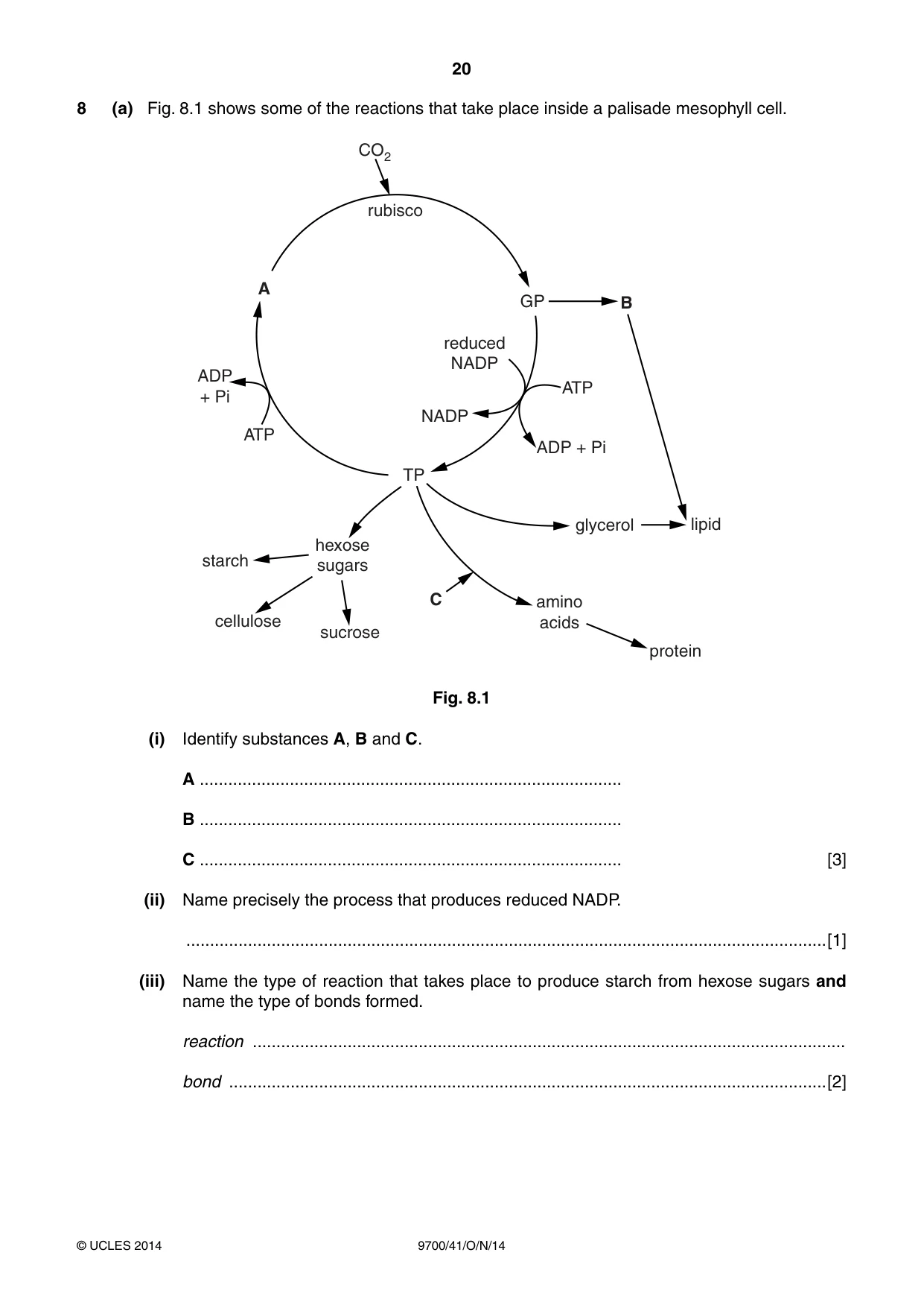 Cambridge A Level Biology 9700 2014 Oct/Nov Paper 4 · Variant 1 question paper, page 20 of 24