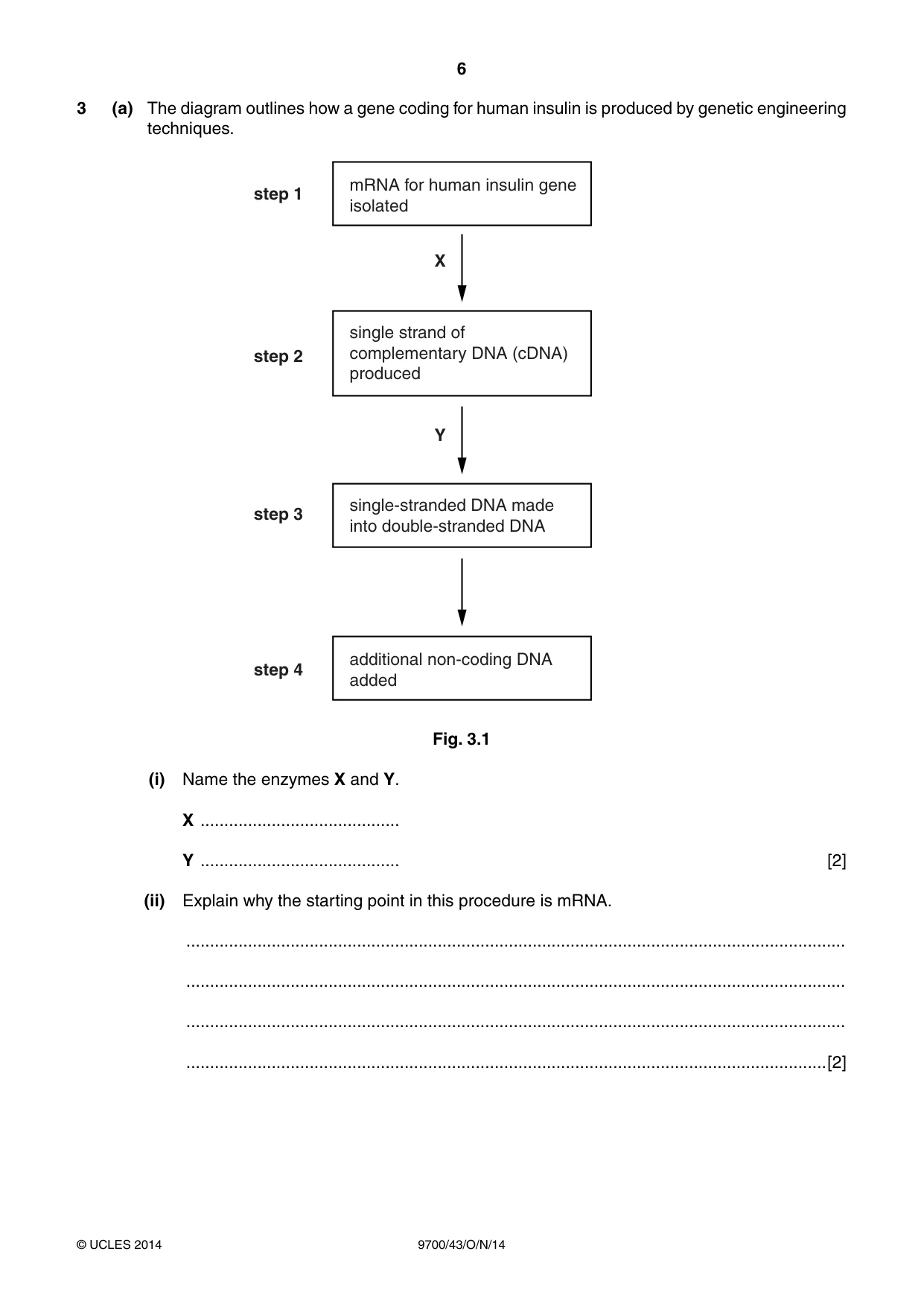 Cambridge A Level Biology 9700 2014 Oct/Nov Paper 4 · Variant 3 question paper, page 6 of 24