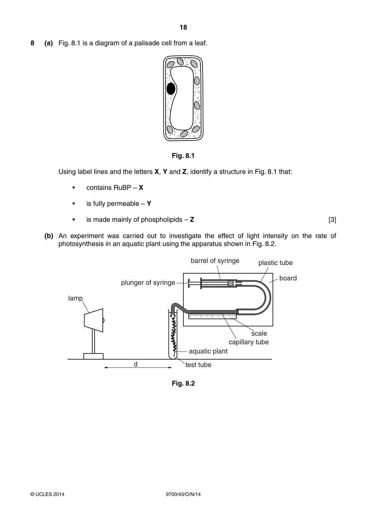 Cambridge A Level Biology 9700 2014 Oct/Nov Paper 4 · Variant 3 question paper, page 18 of 24