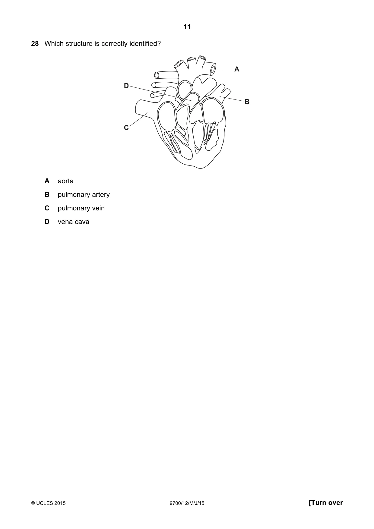 Cambridge A Level Biology 9700 2015 May/June Paper 1 · Variant 2 question paper, page 11 of 20