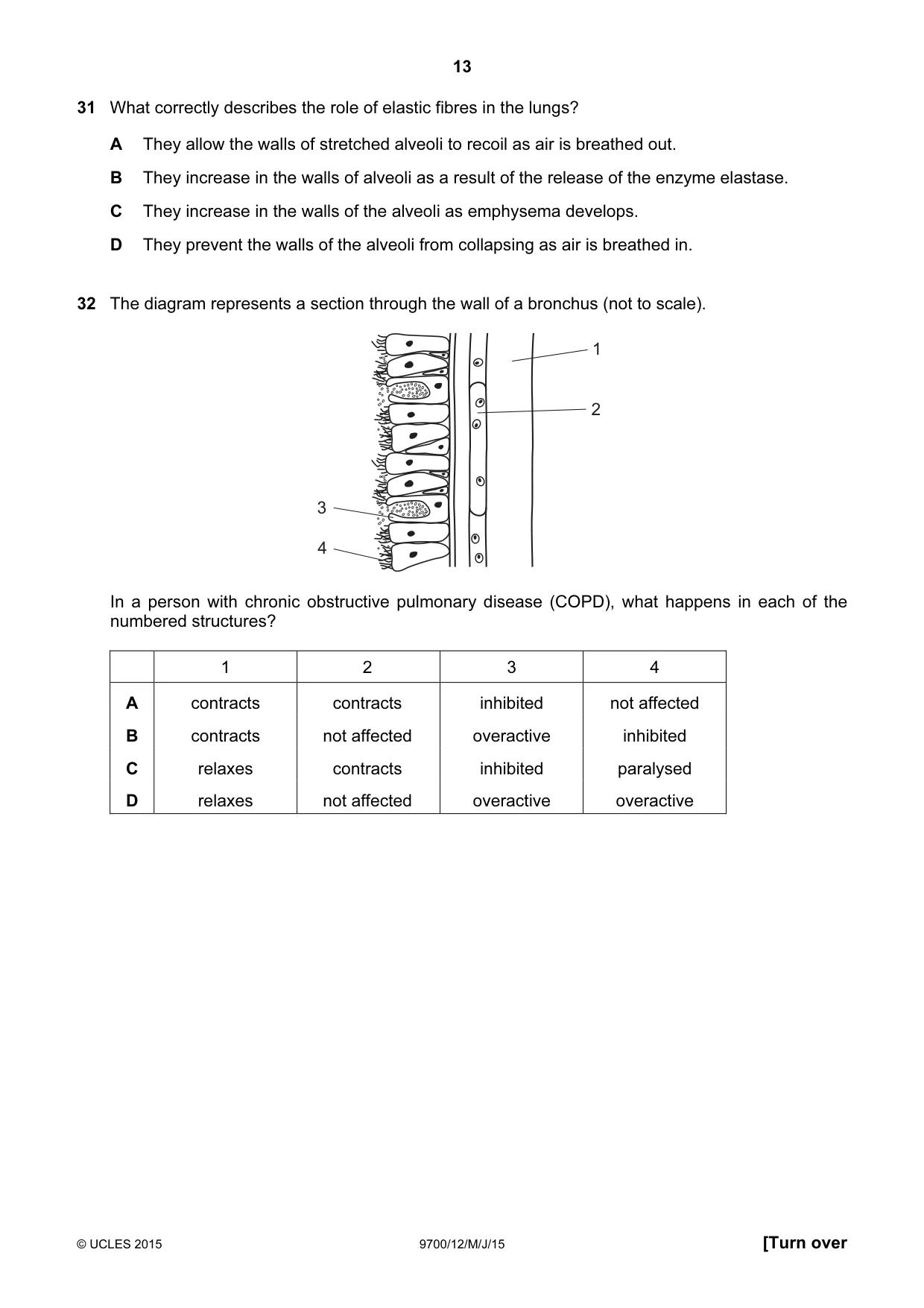 Cambridge A Level Biology 9700 2015 May/June Paper 1 · Variant 2 question paper, page 13 of 20