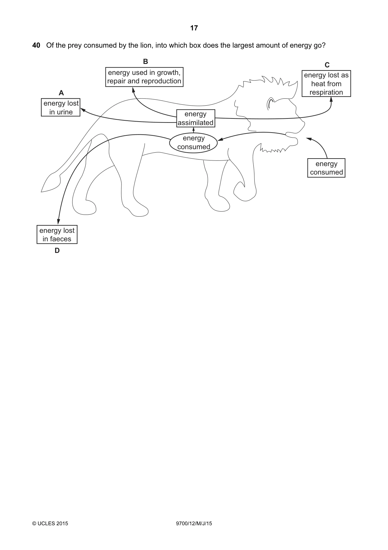 Cambridge A Level Biology 9700 2015 May/June Paper 1 · Variant 2 question paper, page 17 of 20