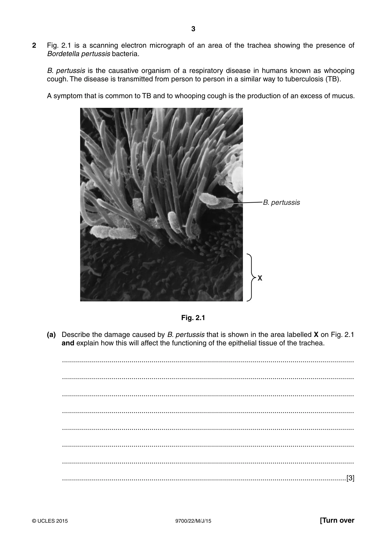 Cambridge A Level Biology 9700 2015 May/June Paper 2 · Variant 2 question paper, page 3 of 16