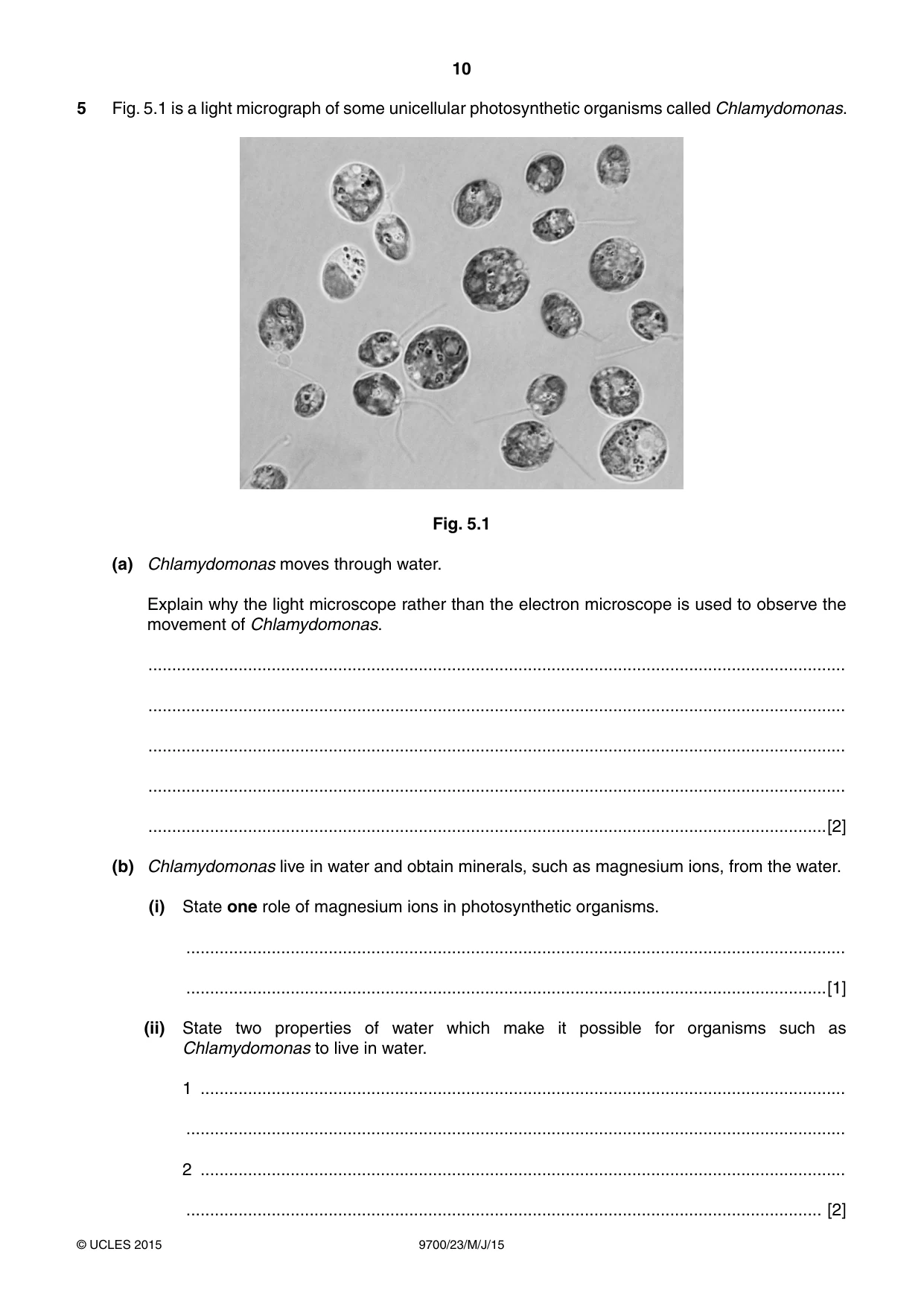 Cambridge A Level Biology 9700 2015 May/June Paper 2 · Variant 3 question paper, page 10 of 16
