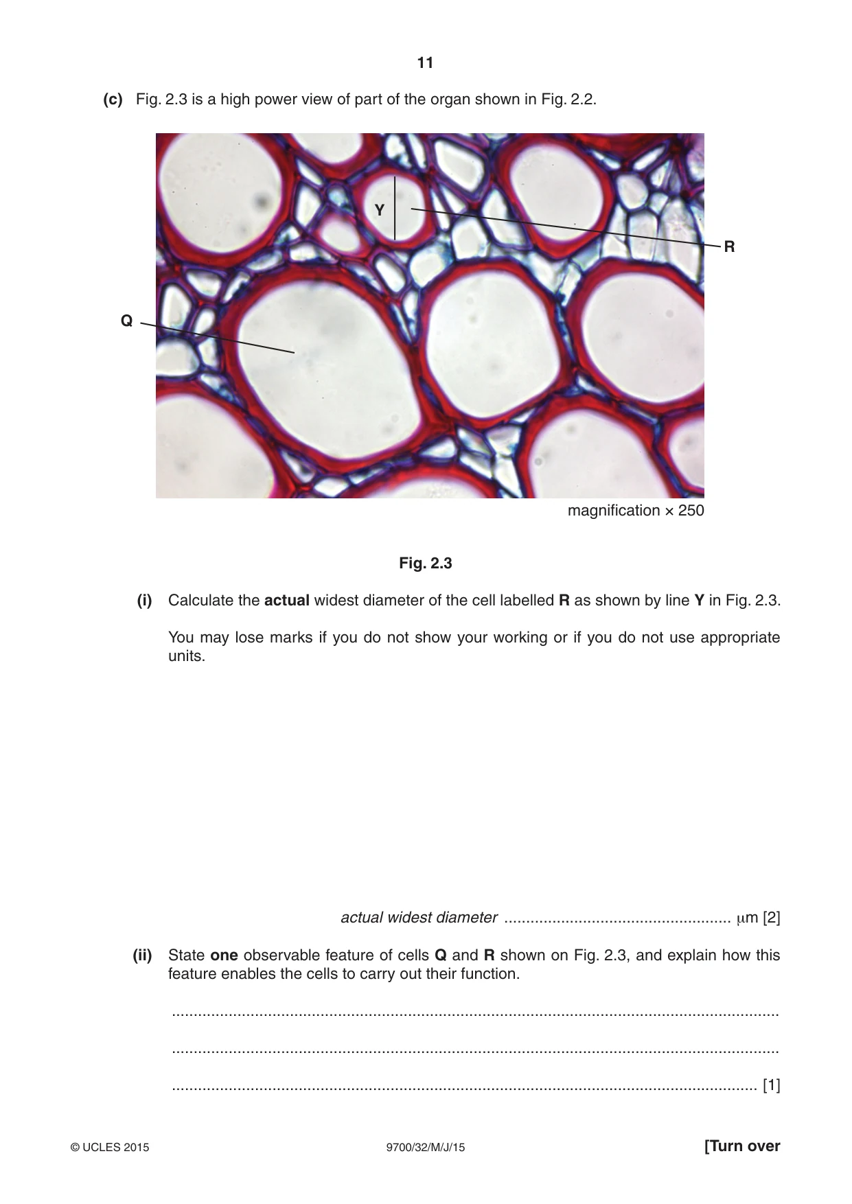 Cambridge A Level Biology 9700 2015 May/June Paper 3 · Variant 2 question paper, page 11 of 12
