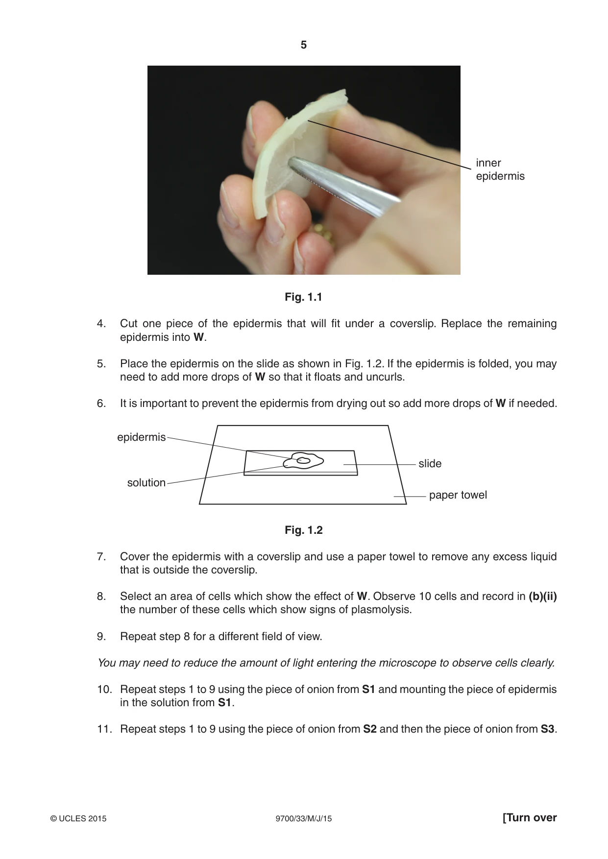 Cambridge A Level Biology 9700 2015 May/June Paper 3 · Variant 3 question paper, page 5 of 16