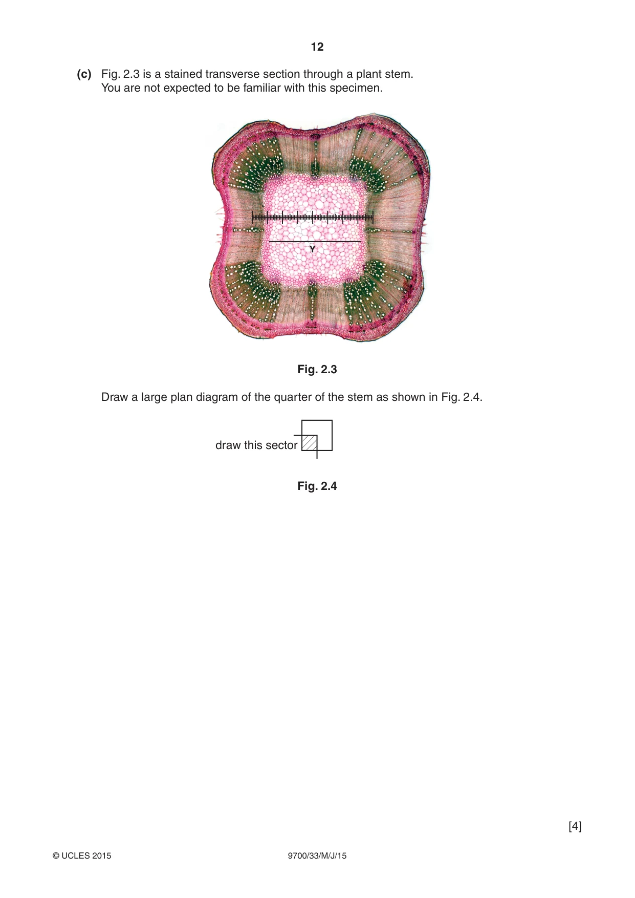 Cambridge A Level Biology 9700 2015 May/June Paper 3 · Variant 3 question paper, page 12 of 16