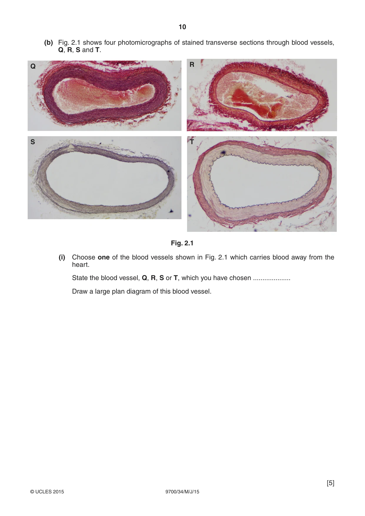 Cambridge A Level Biology 9700 2015 May/June Paper 3 · Variant 4 question paper, page 10 of 12