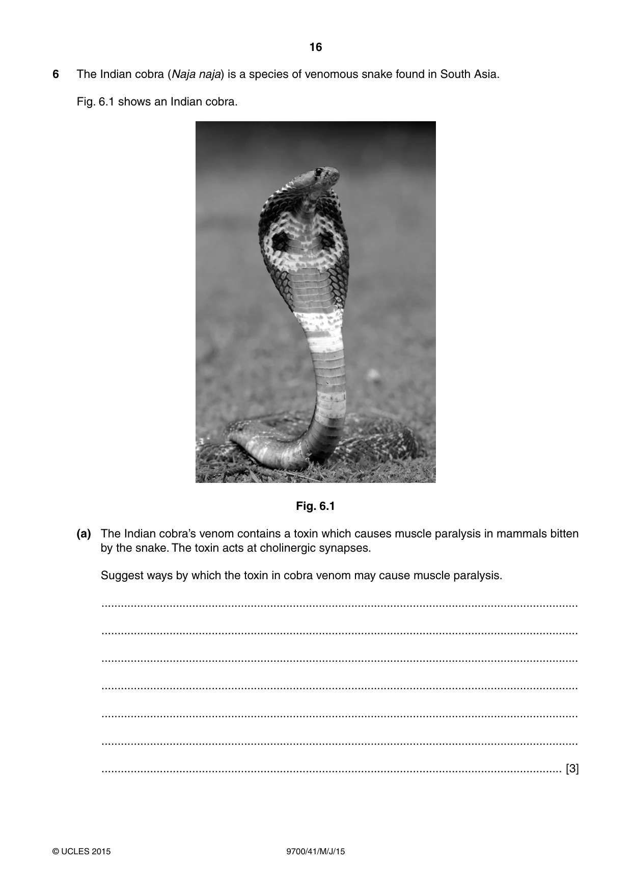 Cambridge A Level Biology 9700 2015 May/June Paper 4 · Variant 1 question paper, page 16 of 24