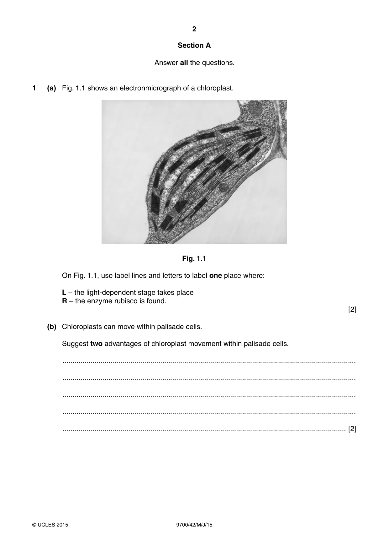 Cambridge A Level Biology 9700 2015 May/June Paper 4 · Variant 2 question paper, page 2 of 24