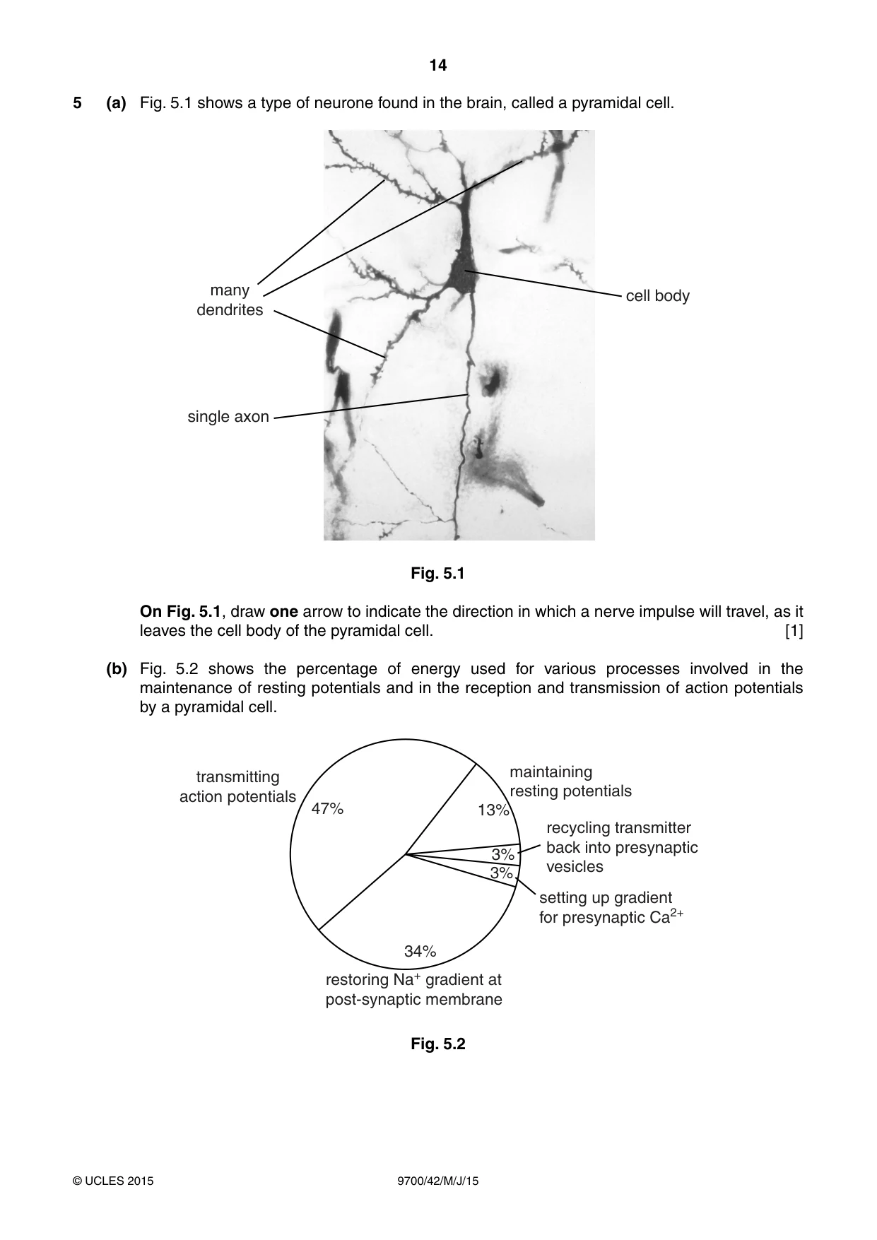 Cambridge A Level Biology 9700 2015 May/June Paper 4 · Variant 2 question paper, page 14 of 24
