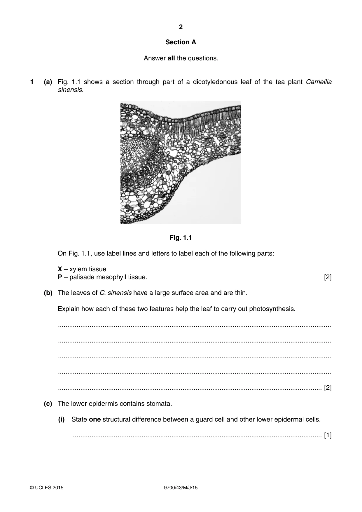 Cambridge A Level Biology 9700 2015 May/June Paper 4 · Variant 3 question paper, page 2 of 24