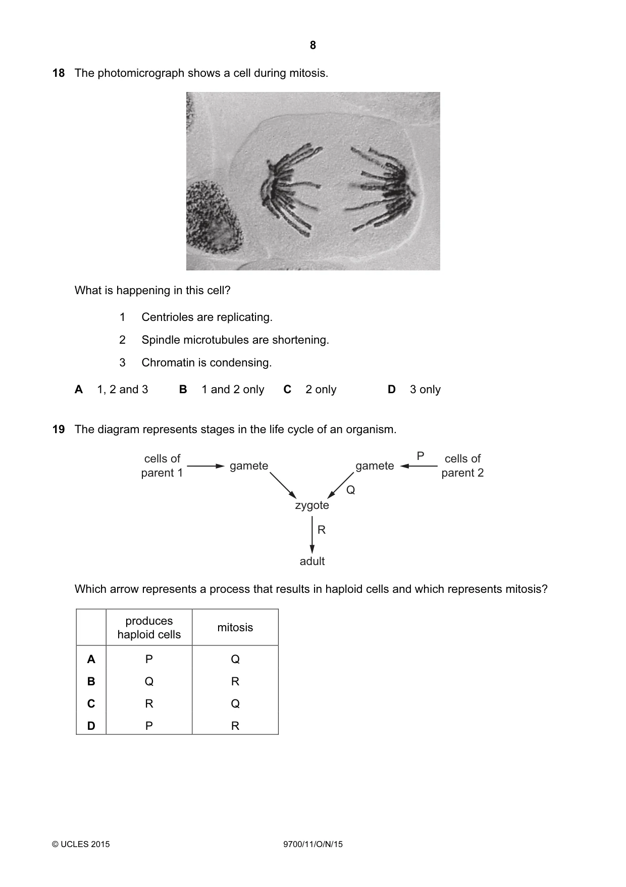 Cambridge A Level Biology 9700 2015 Oct/Nov Paper 1 · Variant 1 question paper, page 8 of 16