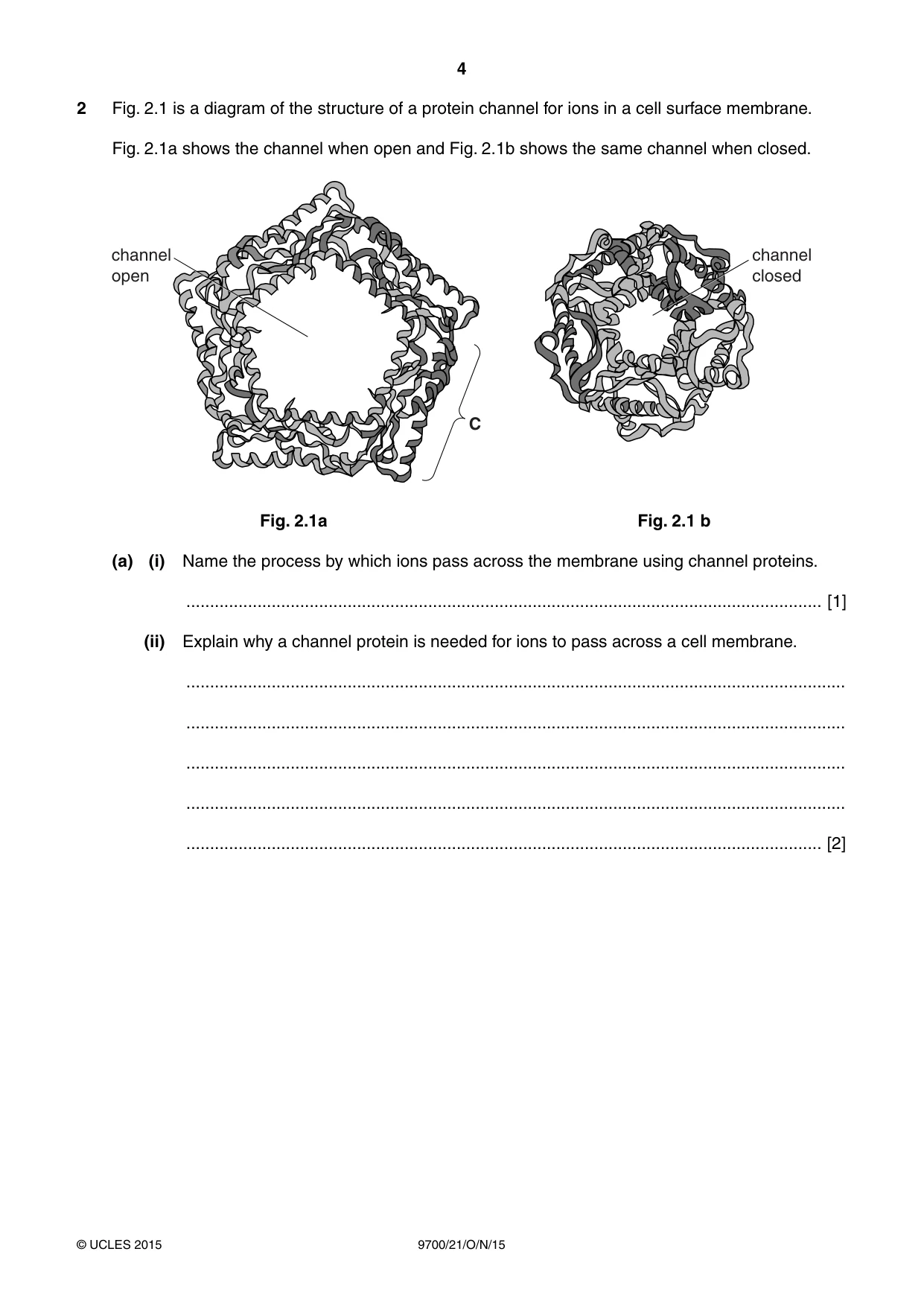 Cambridge A Level Biology 9700 2015 Oct/Nov Paper 2 · Variant 1 question paper, page 4 of 16