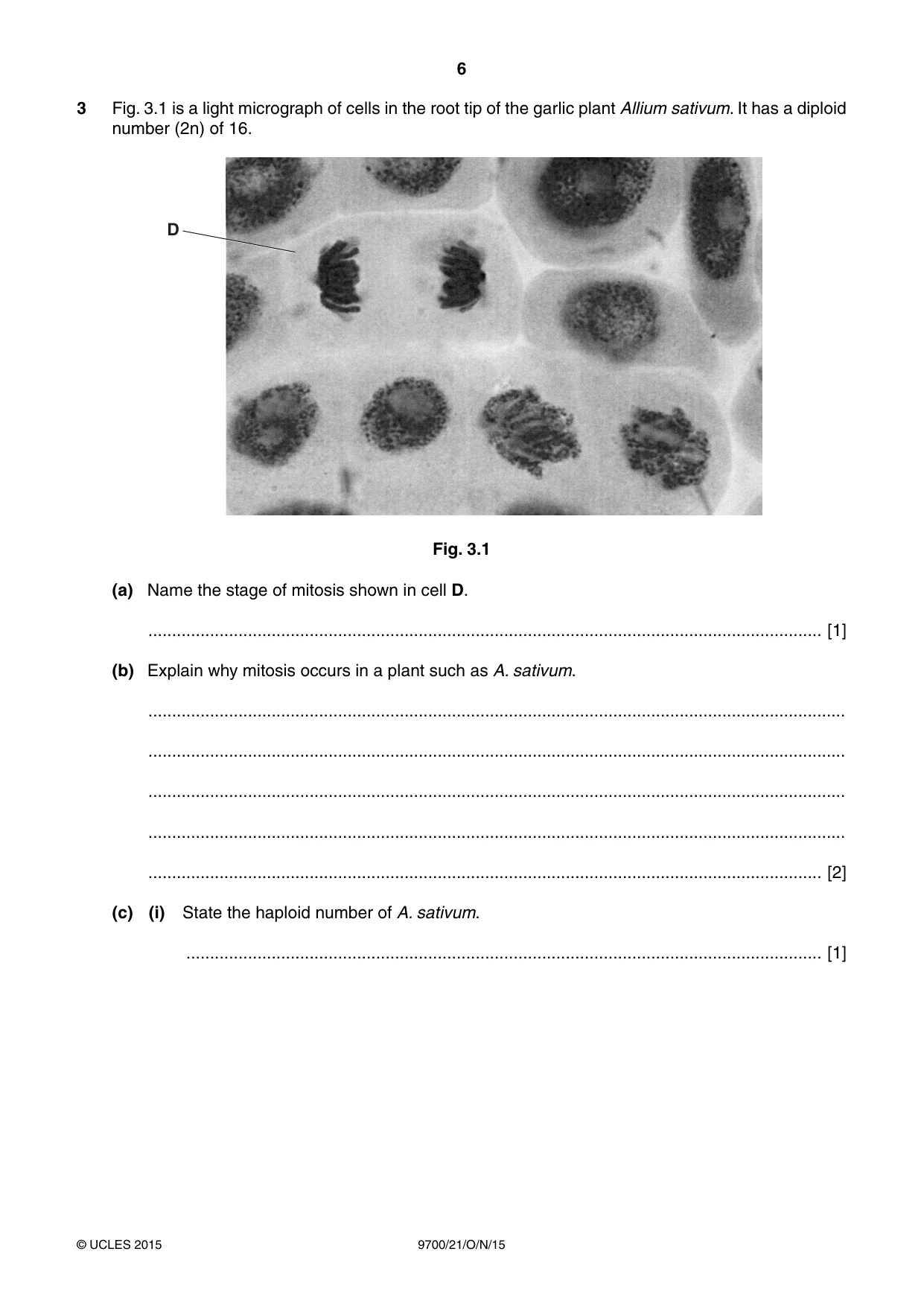 Cambridge A Level Biology 9700 2015 Oct/Nov Paper 2 · Variant 1 question paper, page 6 of 16