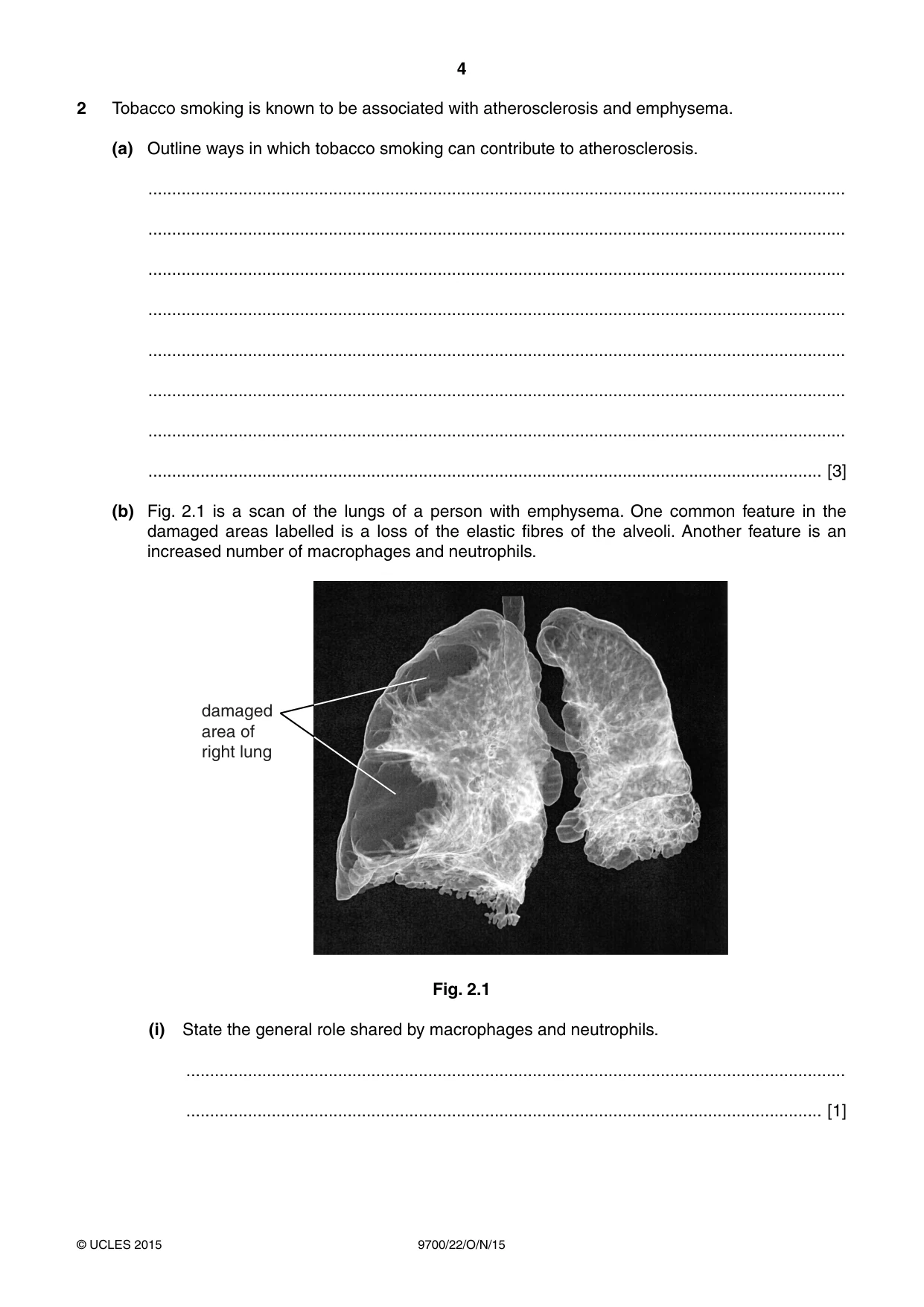 Cambridge A Level Biology 9700 2015 Oct/Nov Paper 2 · Variant 2 question paper, page 4 of 16