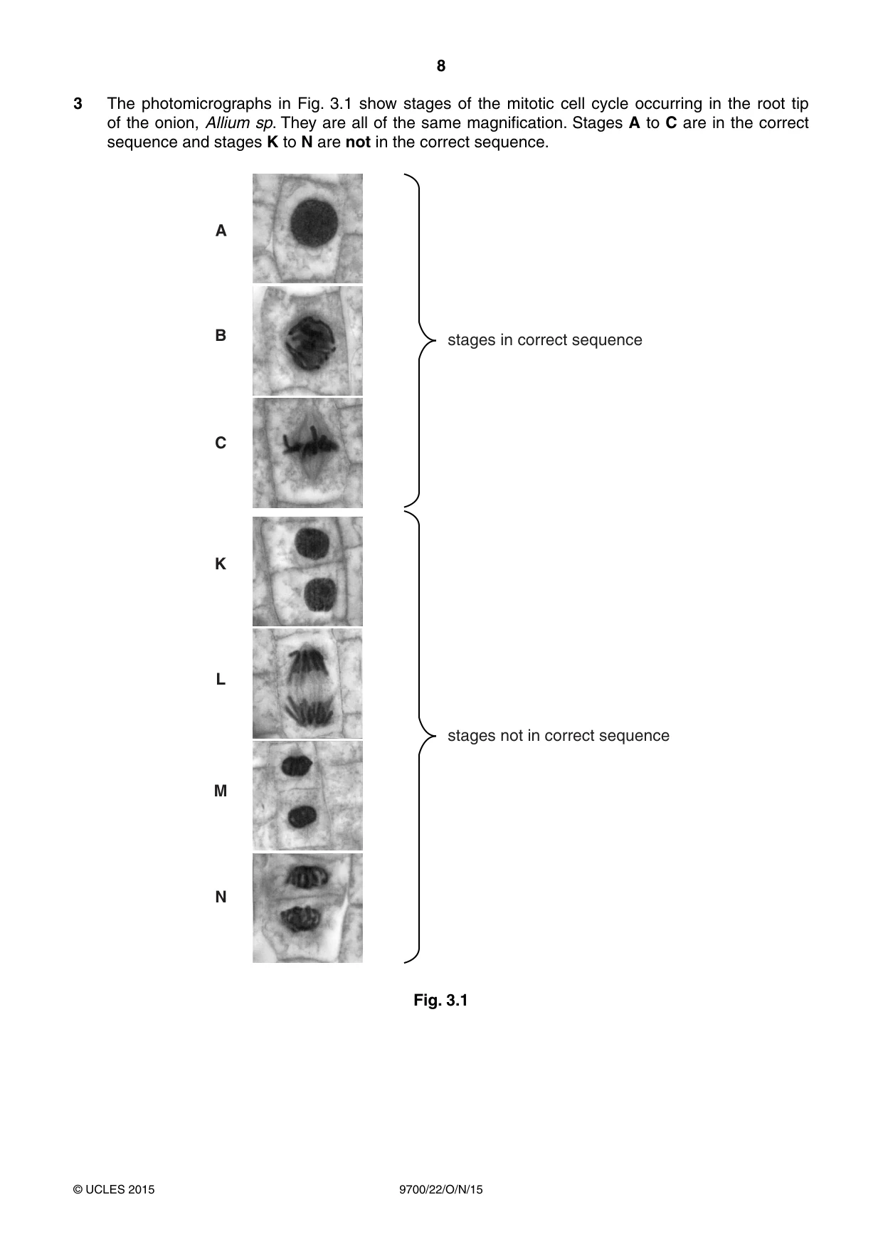 Cambridge A Level Biology 9700 2015 Oct/Nov Paper 2 · Variant 2 question paper, page 8 of 16