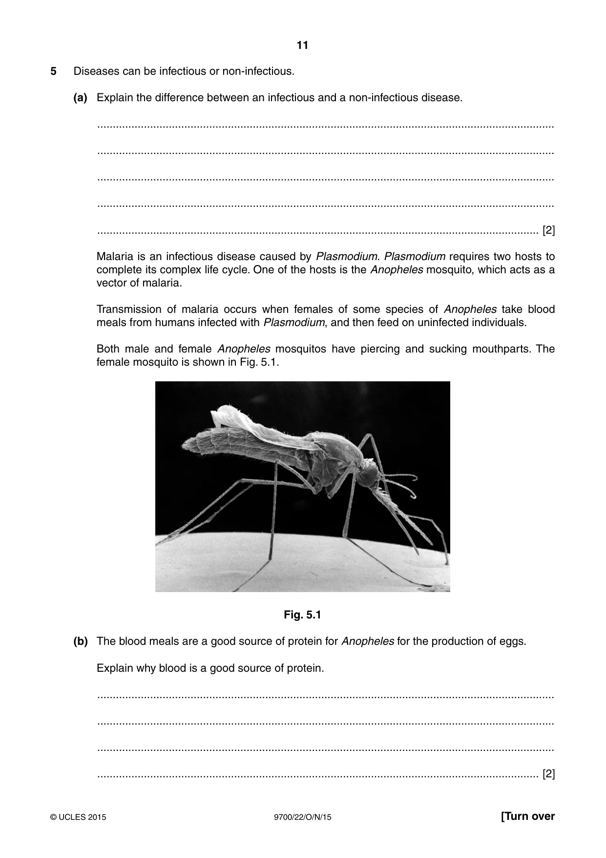Cambridge A Level Biology 9700 2015 Oct/Nov Paper 2 · Variant 2 question paper, page 11 of 16
