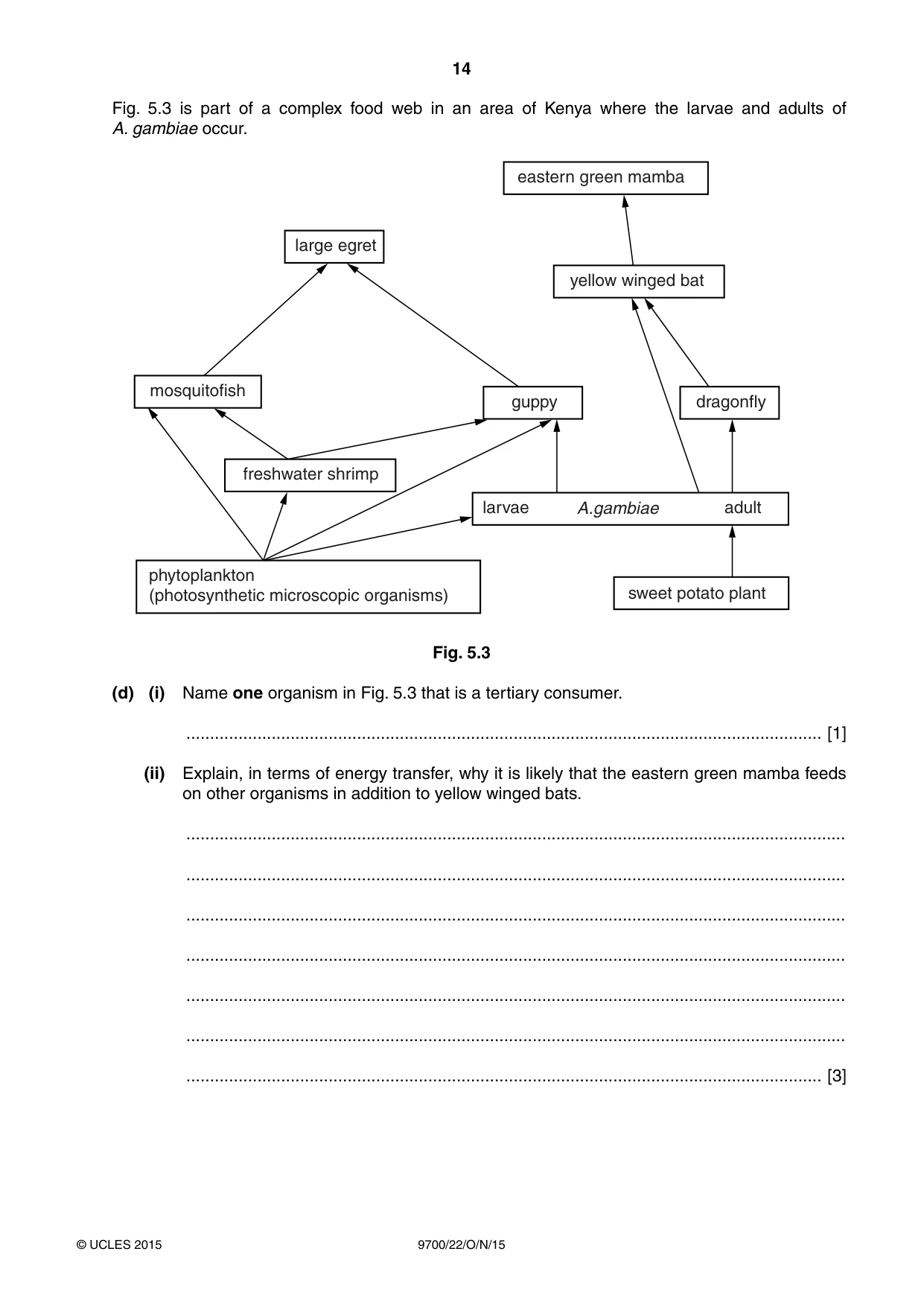 Cambridge A Level Biology 9700 2015 Oct/Nov Paper 2 · Variant 2 question paper, page 14 of 16