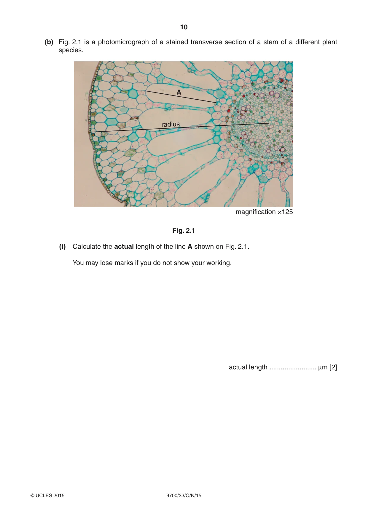 Cambridge A Level Biology 9700 2015 Oct/Nov Paper 3 · Variant 3 question paper, page 10 of 12
