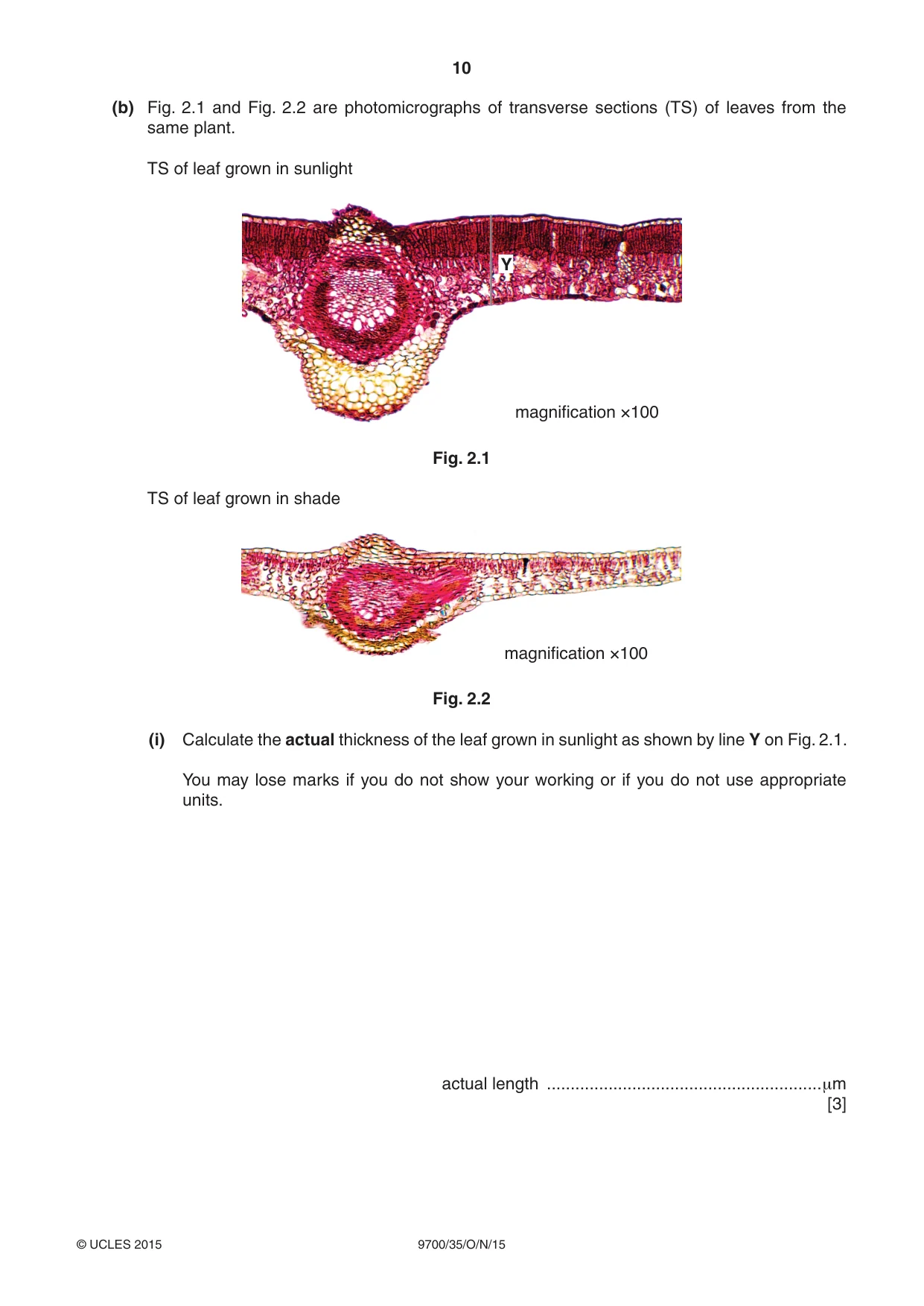 Cambridge A Level Biology 9700 2015 Oct/Nov Paper 3 · Variant 5 question paper, page 10 of 12