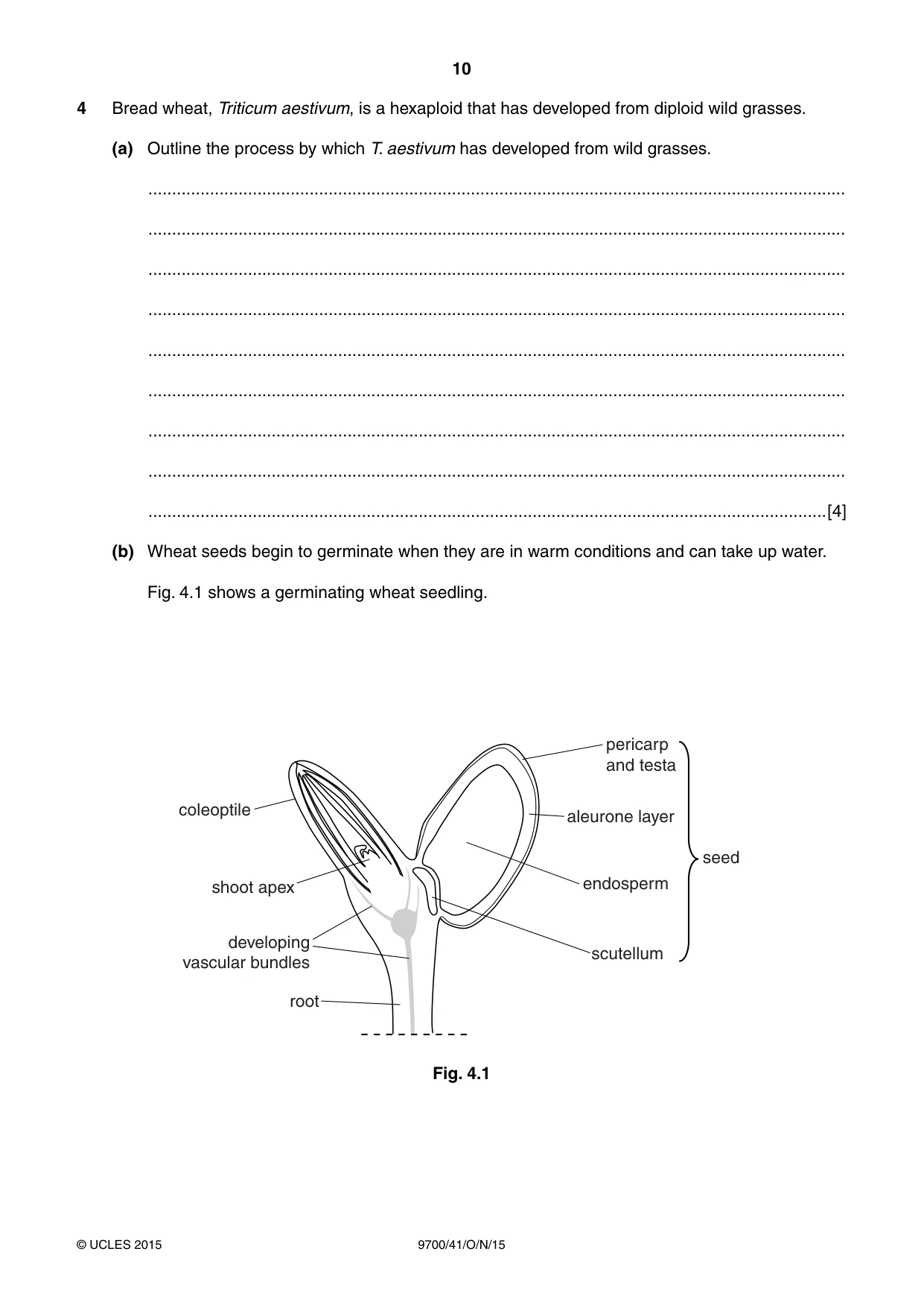 Cambridge A Level Biology 9700 2015 Oct/Nov Paper 4 · Variant 1 question paper, page 10 of 24